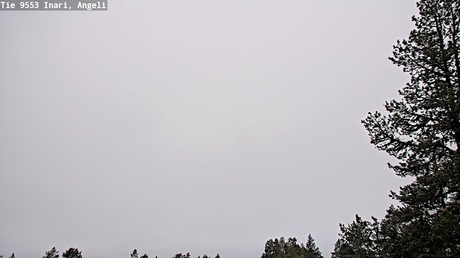 Kelikamerat Kuva Tie 9553 Inari, Angeli, Lintupuolivaara, Inari, Lappi