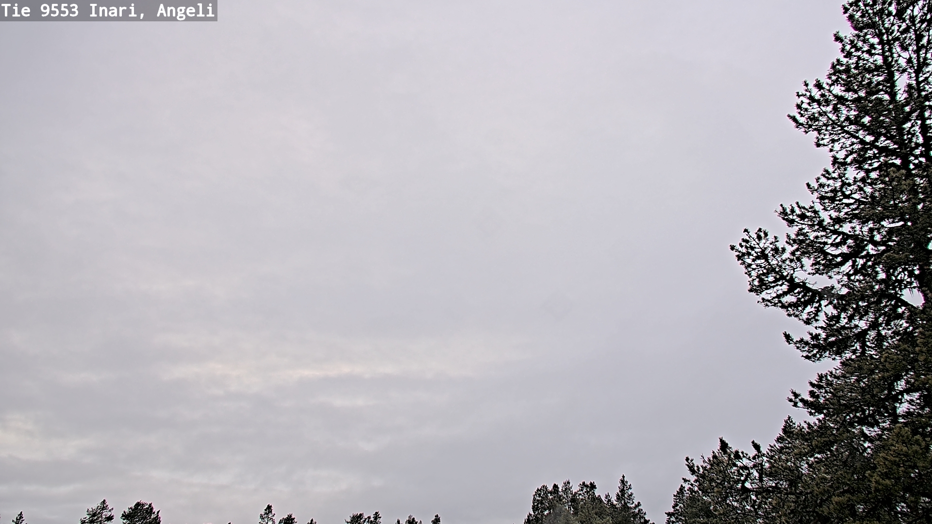 Kelikamerat Kuva Tie 9553 Inari, Angeli, Lintupuolivaara, Inari, Lappi