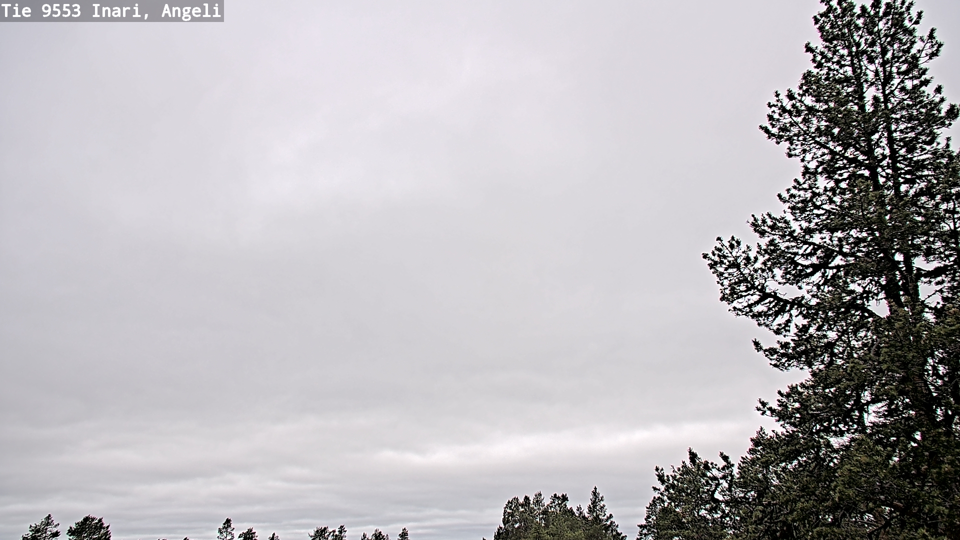 Weather Camera Image Väg 9553 Inari, Angeli, Lintupuolivaara, Inari, Lappi