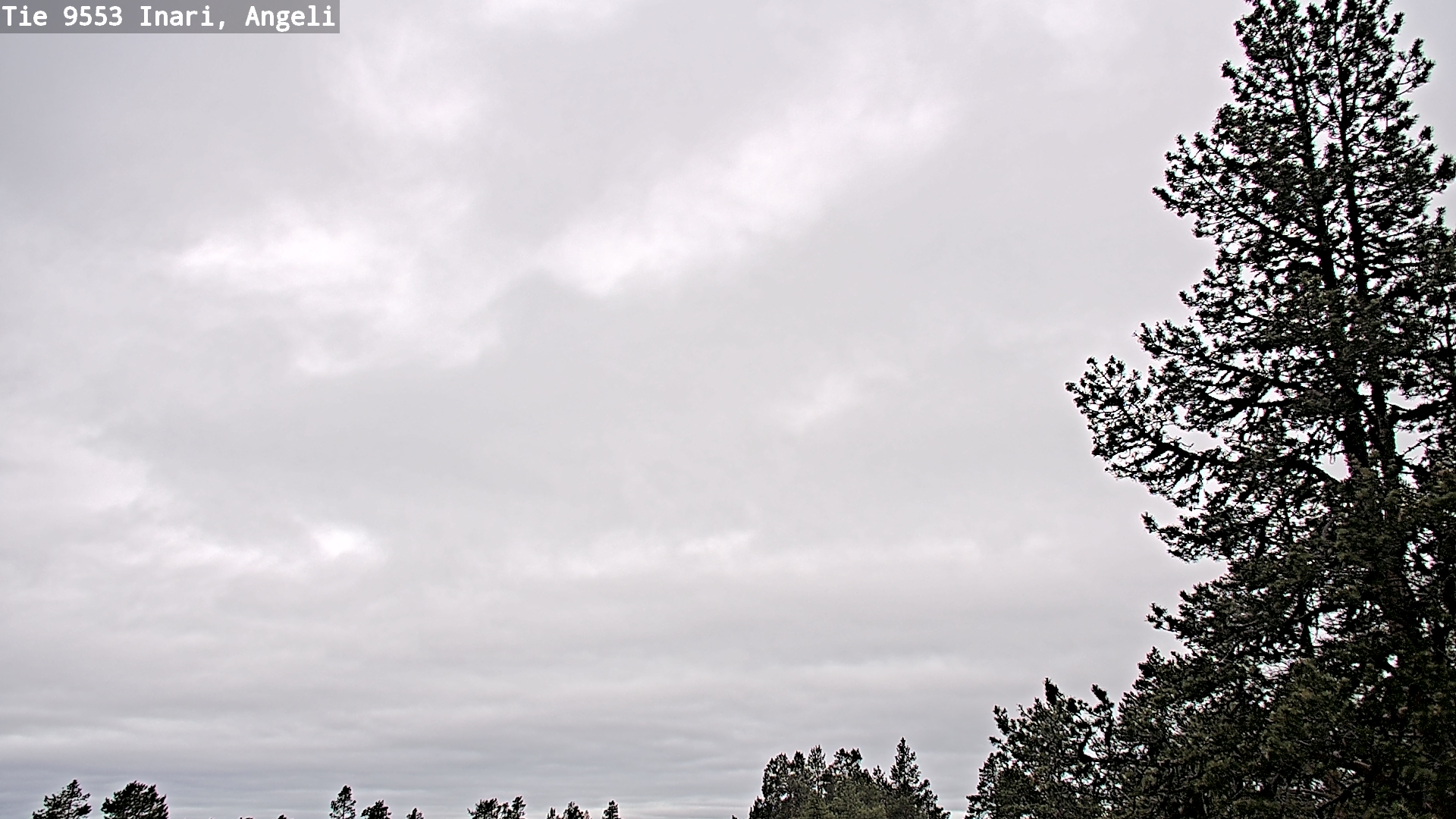Weather Camera Image Väg 9553 Inari, Angeli, Lintupuolivaara, Inari, Lappi