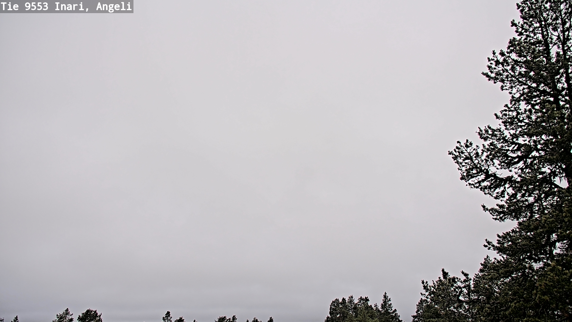 Weather Camera Image Road 9553 Inari, Angeli, Lintupuolivaara, Inari, Lappi