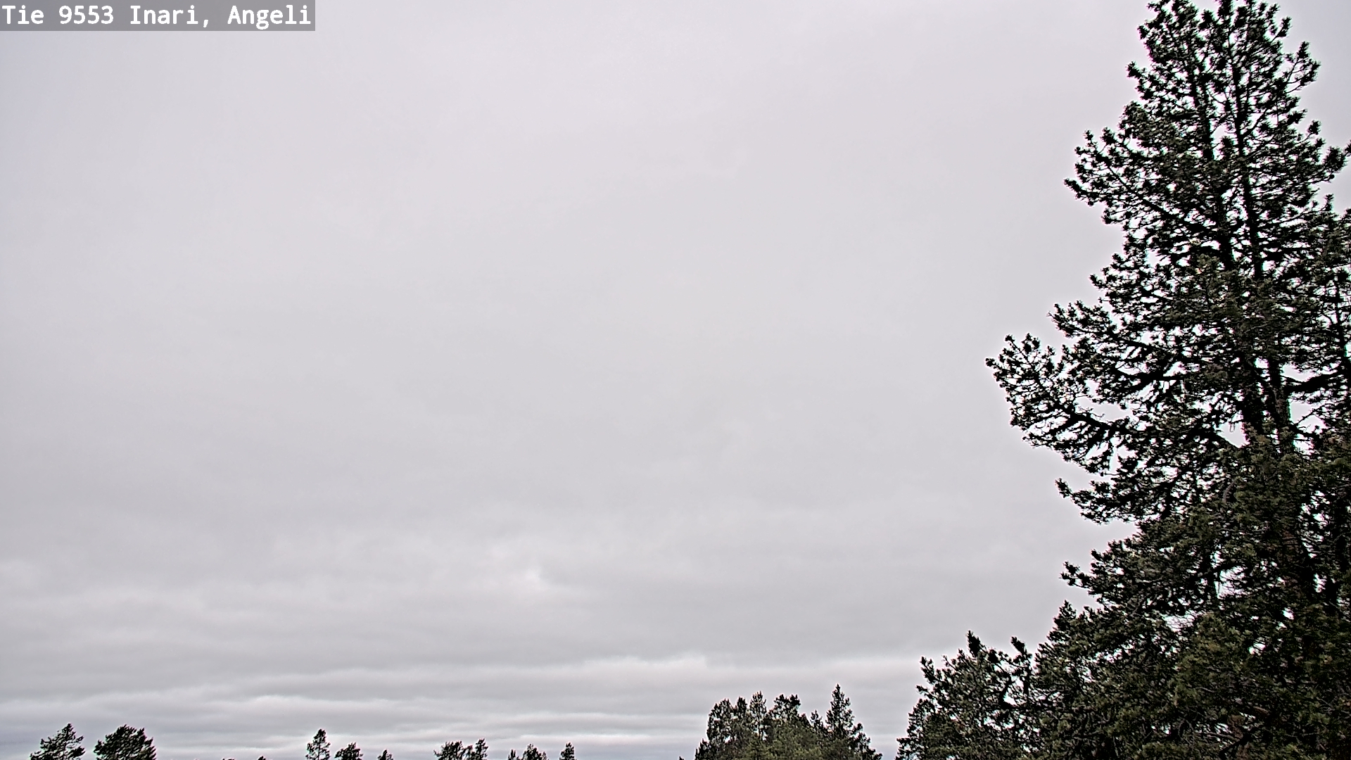 Weather Camera Image Väg 9553 Inari, Angeli, Lintupuolivaara, Inari, Lappi