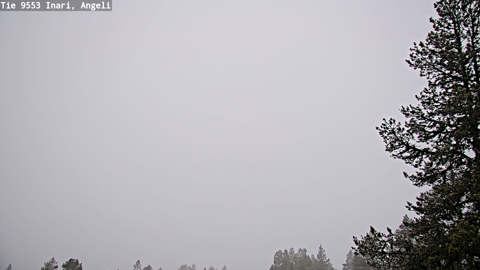 Kelikamerat Kuva Tie 9553 Inari, Angeli, Lintupuolivaara, Inari, Lappi