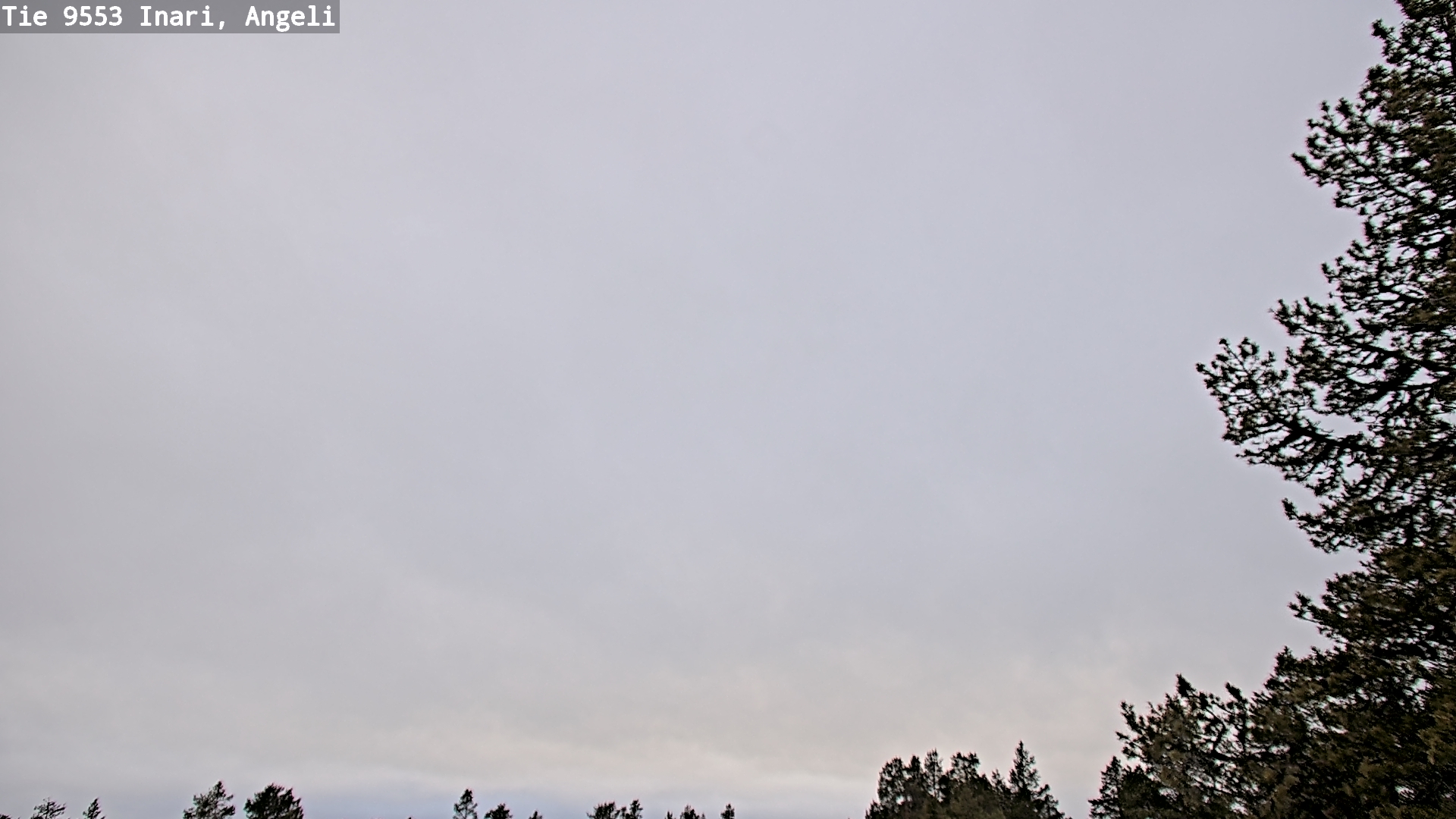 Weather Camera Image Road 9553 Inari, Angeli, Lintupuolivaara, Inari, Lappi