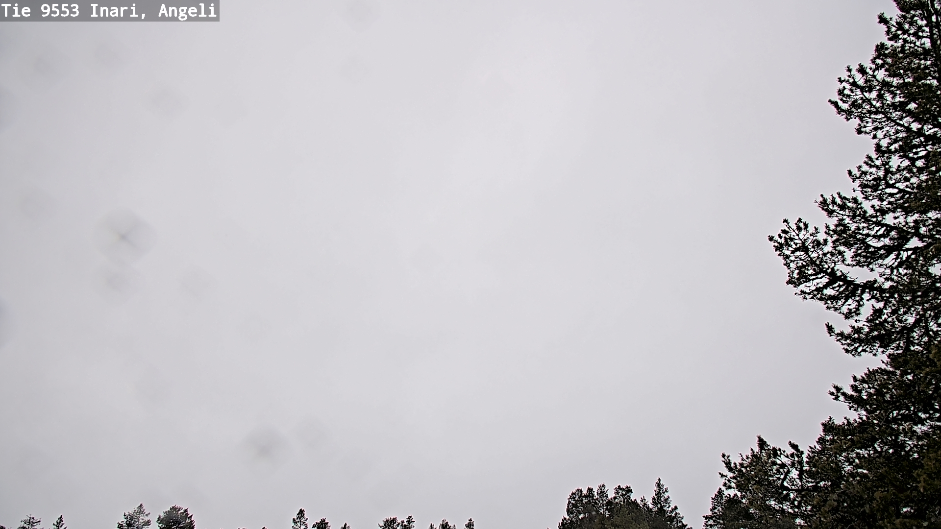 Kelikamerat Kuva Tie 9553 Inari, Angeli, Lintupuolivaara, Inari, Lappi