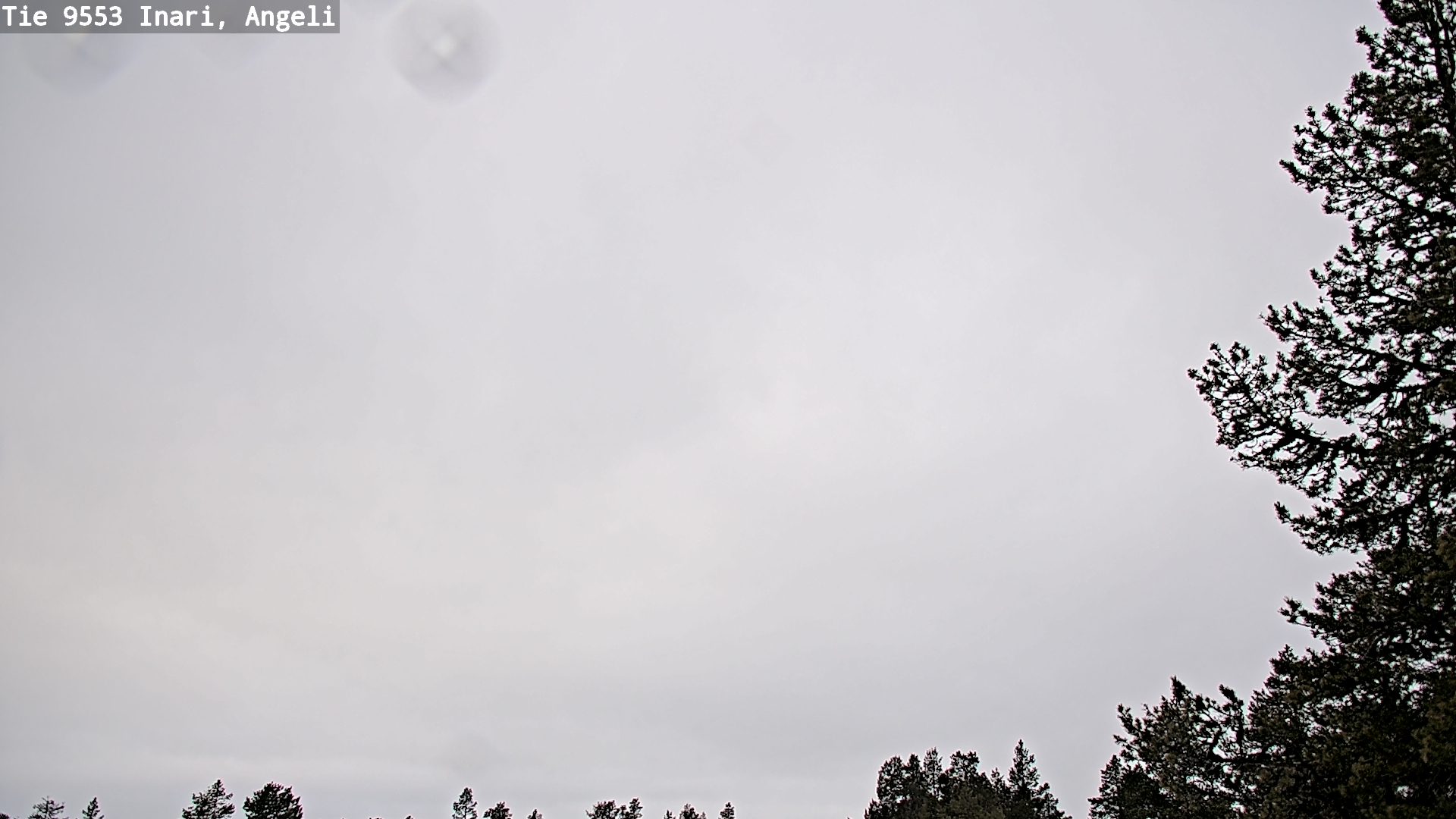 Weather Camera Image Road 9553 Inari, Angeli, Lintupuolivaara, Inari, Lappi