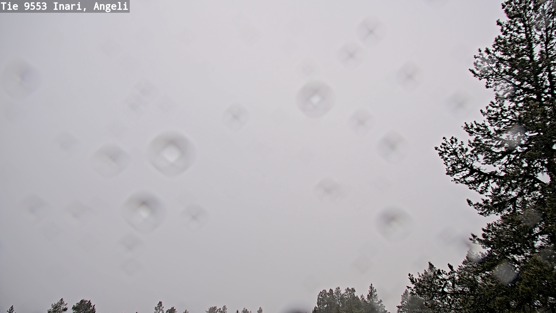 Kelikamerat Kuva Tie 9553 Inari, Angeli, Lintupuolivaara, Inari, Lappi