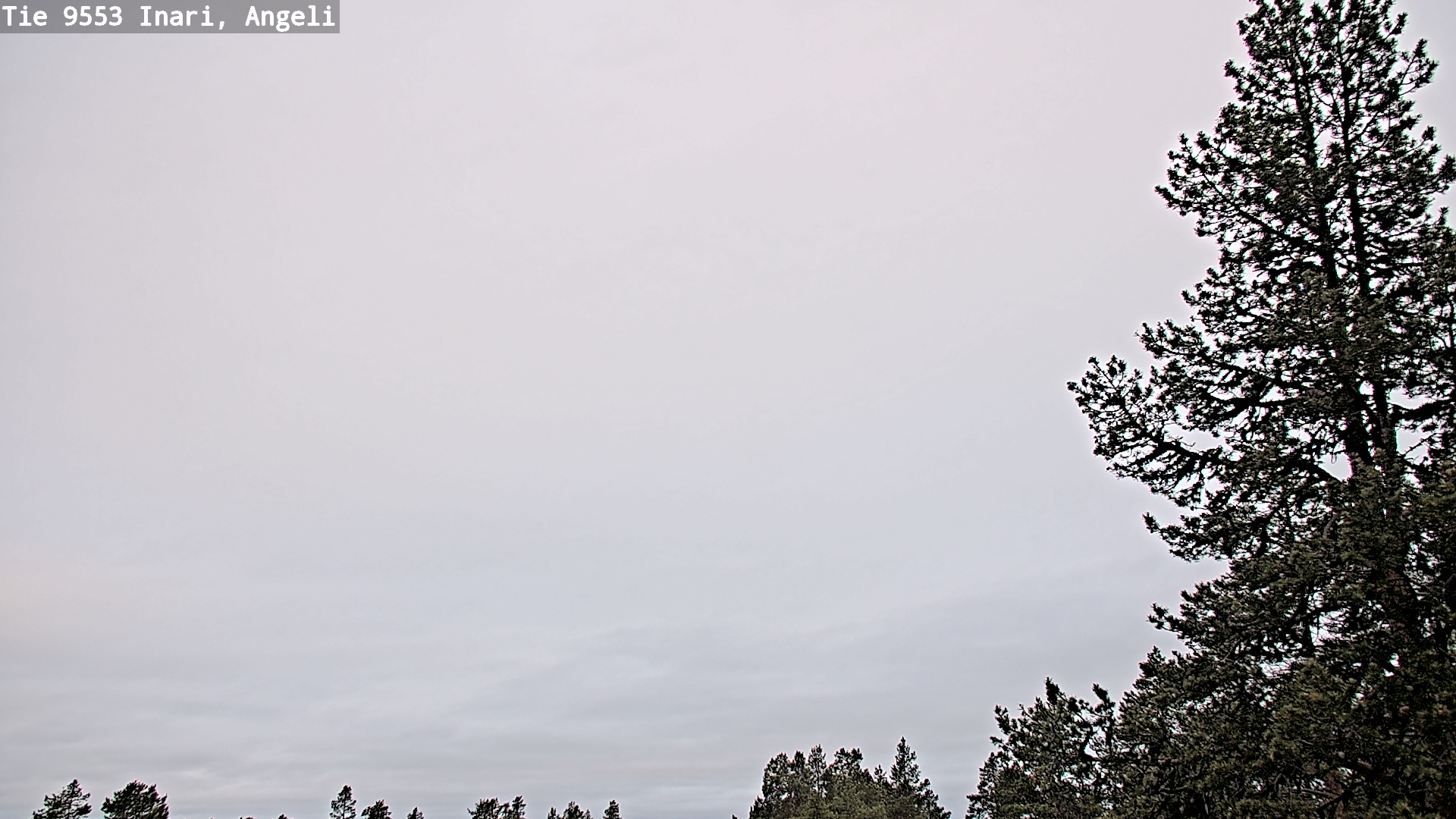 Kelikamerat Kuva Tie 9553 Inari, Angeli, Lintupuolivaara, Inari, Lappi