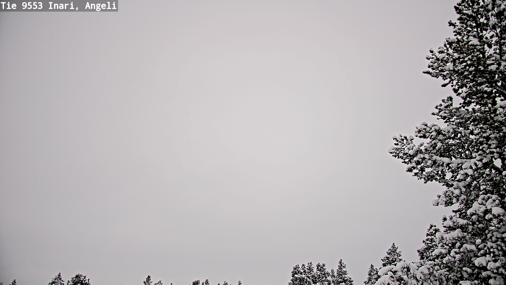 Weather Camera Image Väg 9553 Inari, Angeli, Lintupuolivaara, Inari, Lappi