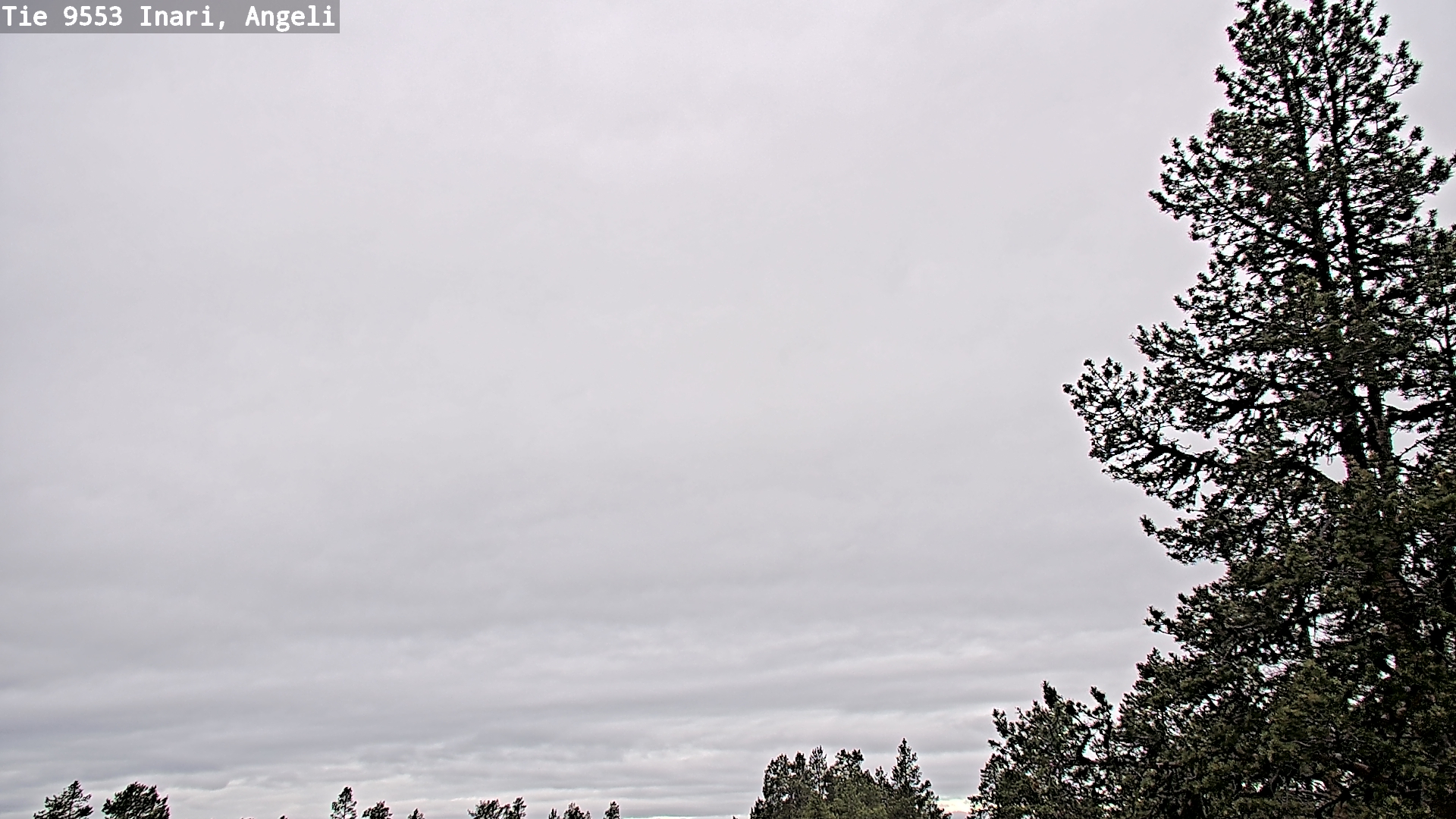 Weather Camera Image Väg 9553 Inari, Angeli, Lintupuolivaara, Inari, Lappi