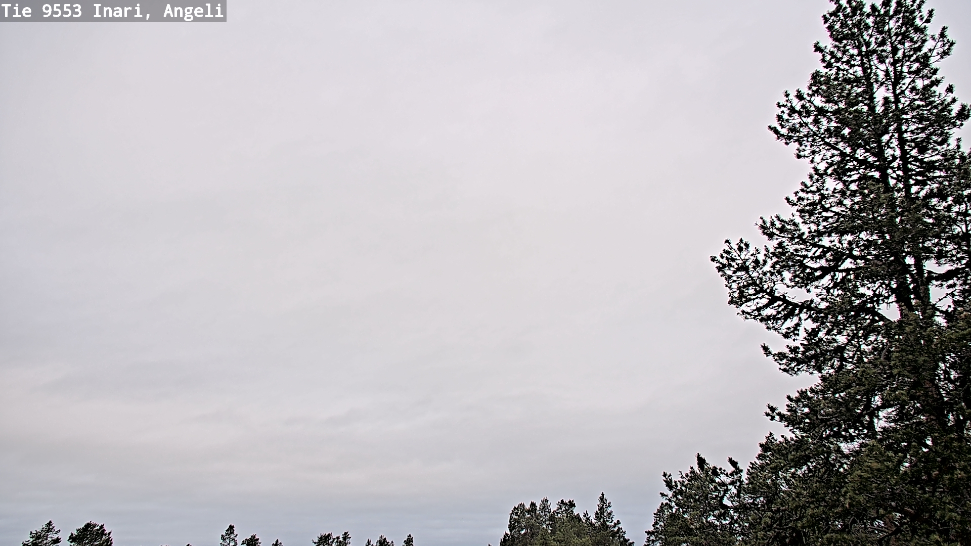 Kelikamerat Kuva Tie 9553 Inari, Angeli, Lintupuolivaara, Inari, Lappi