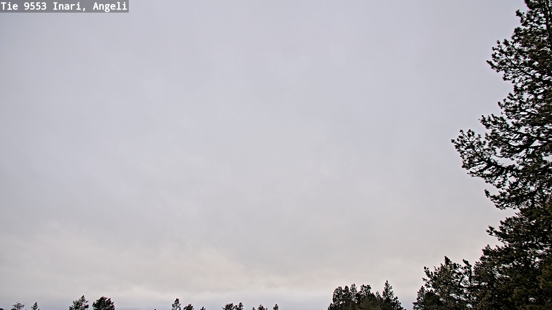 Weather Camera Image Road 9553 Inari, Angeli, Lintupuolivaara, Inari, Lappi