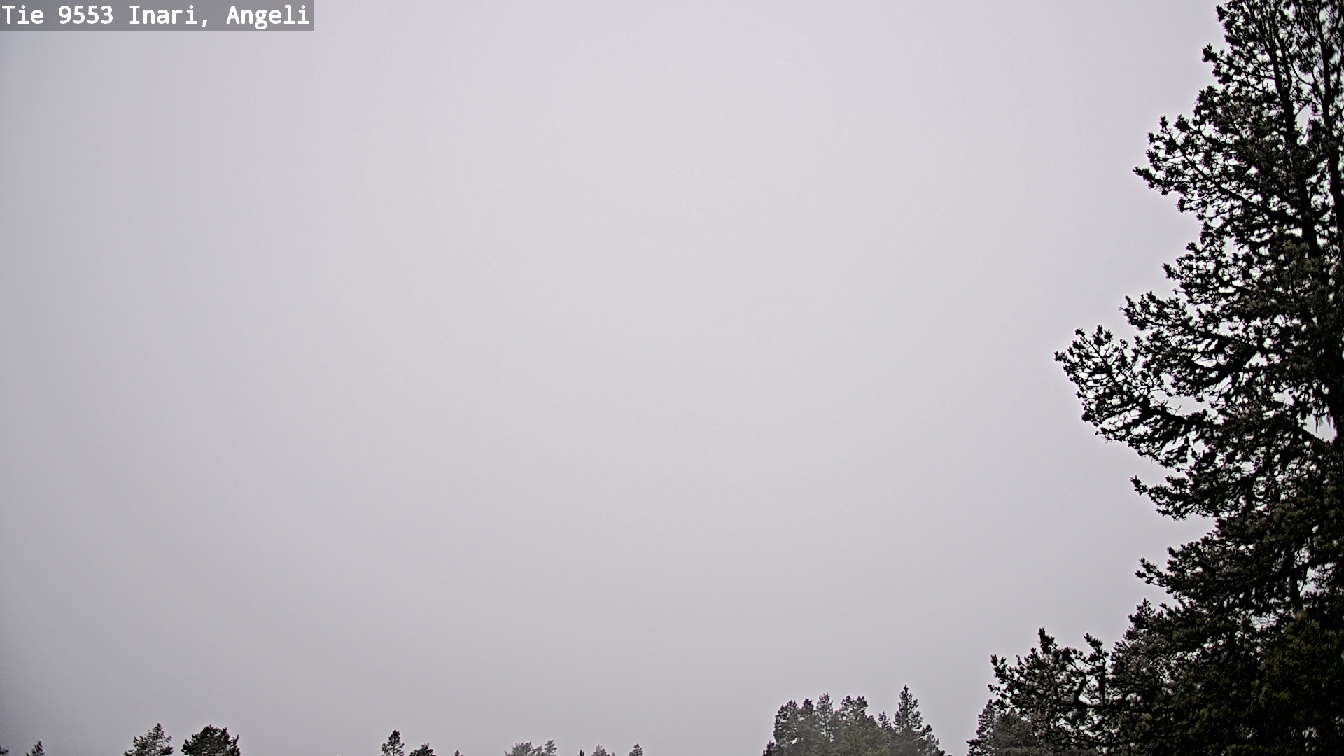 Kelikamerat Kuva Tie 9553 Inari, Angeli, Lintupuolivaara, Inari, Lappi