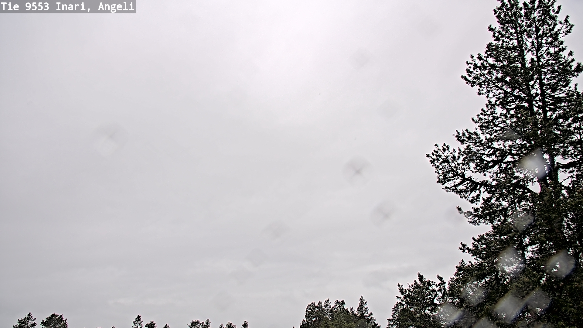 Weather Camera Image Väg 9553 Inari, Angeli, Lintupuolivaara, Inari, Lappi
