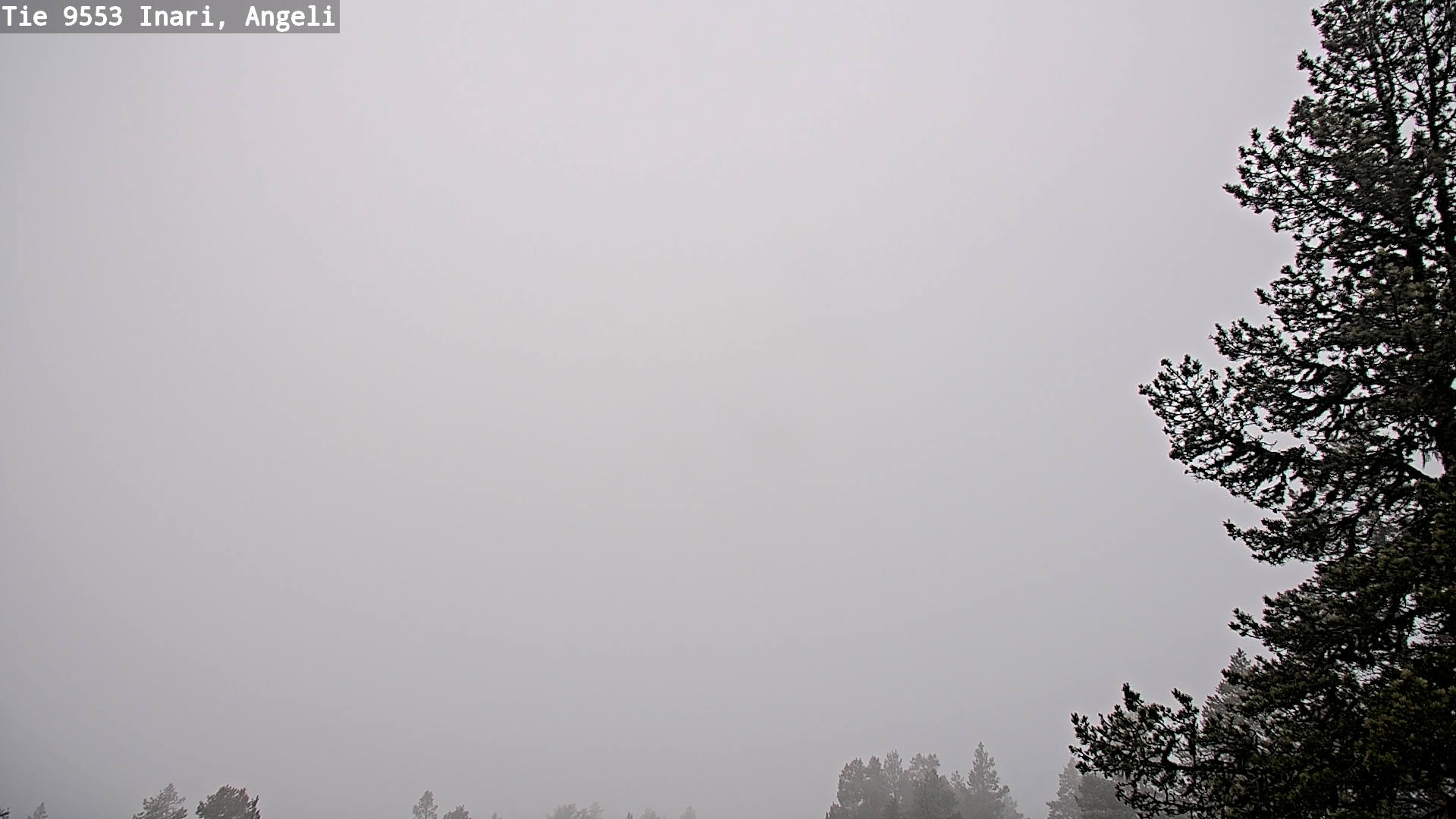 Weather Camera Image Road 9553 Inari, Angeli, Lintupuolivaara, Inari, Lappi
