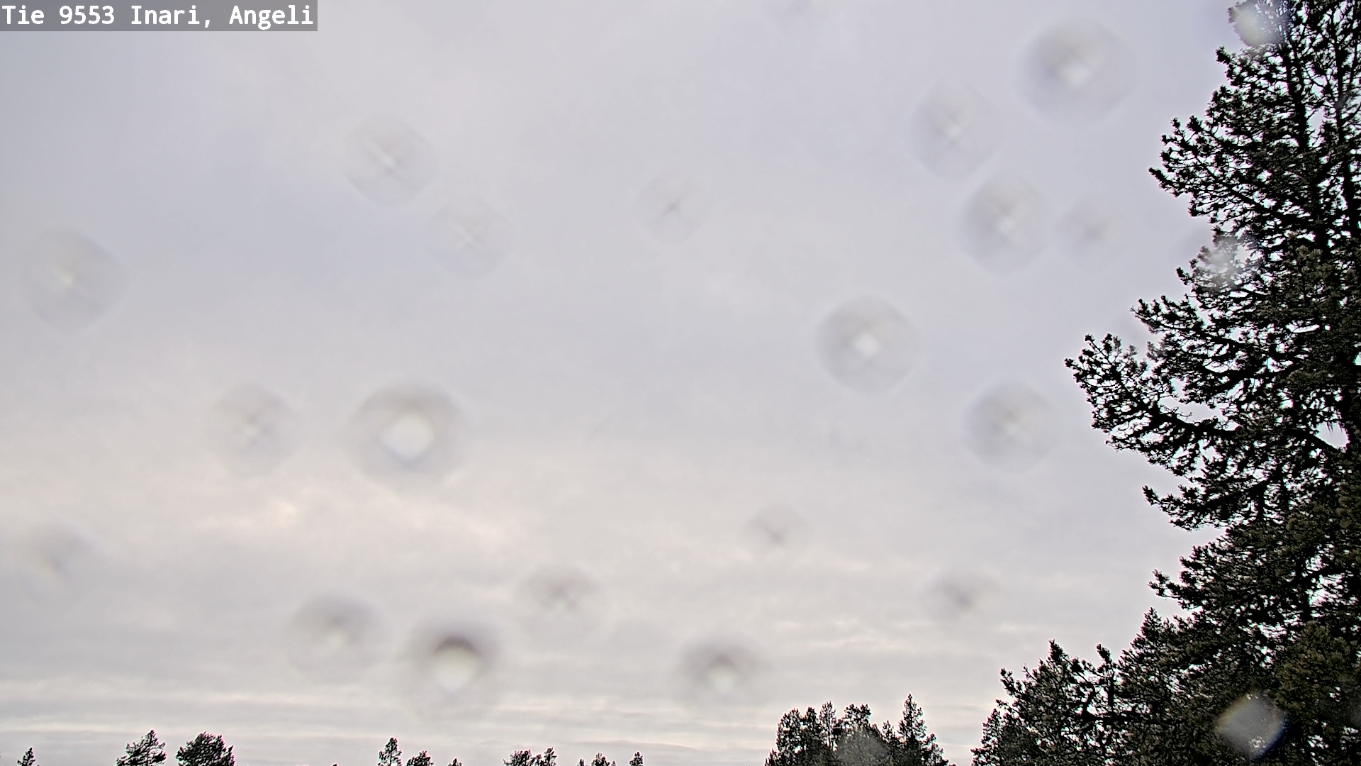 Kelikamerat Kuva Tie 9553 Inari, Angeli, Lintupuolivaara, Inari, Lappi