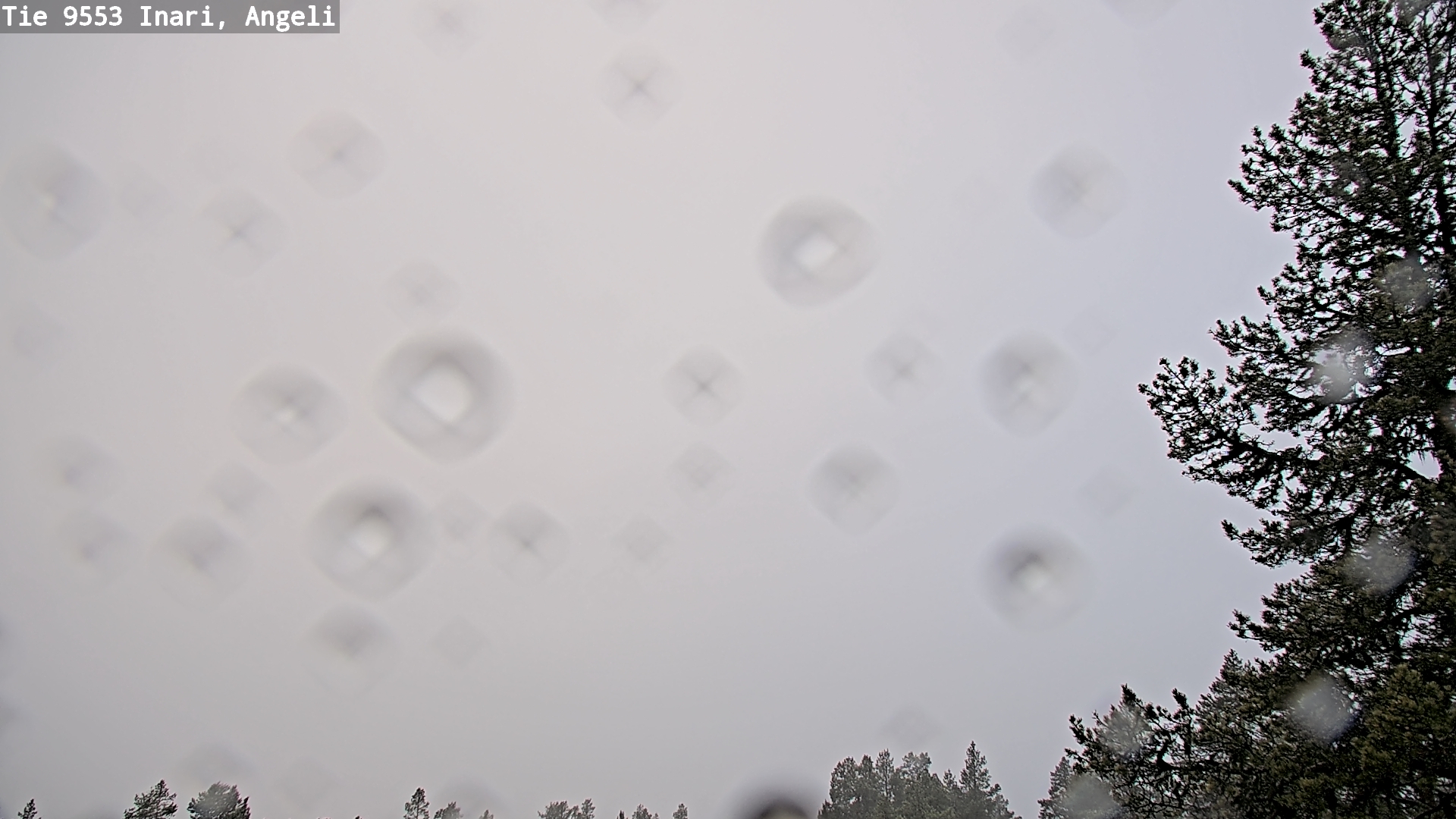 Kelikamerat Kuva Tie 9553 Inari, Angeli, Lintupuolivaara, Inari, Lappi