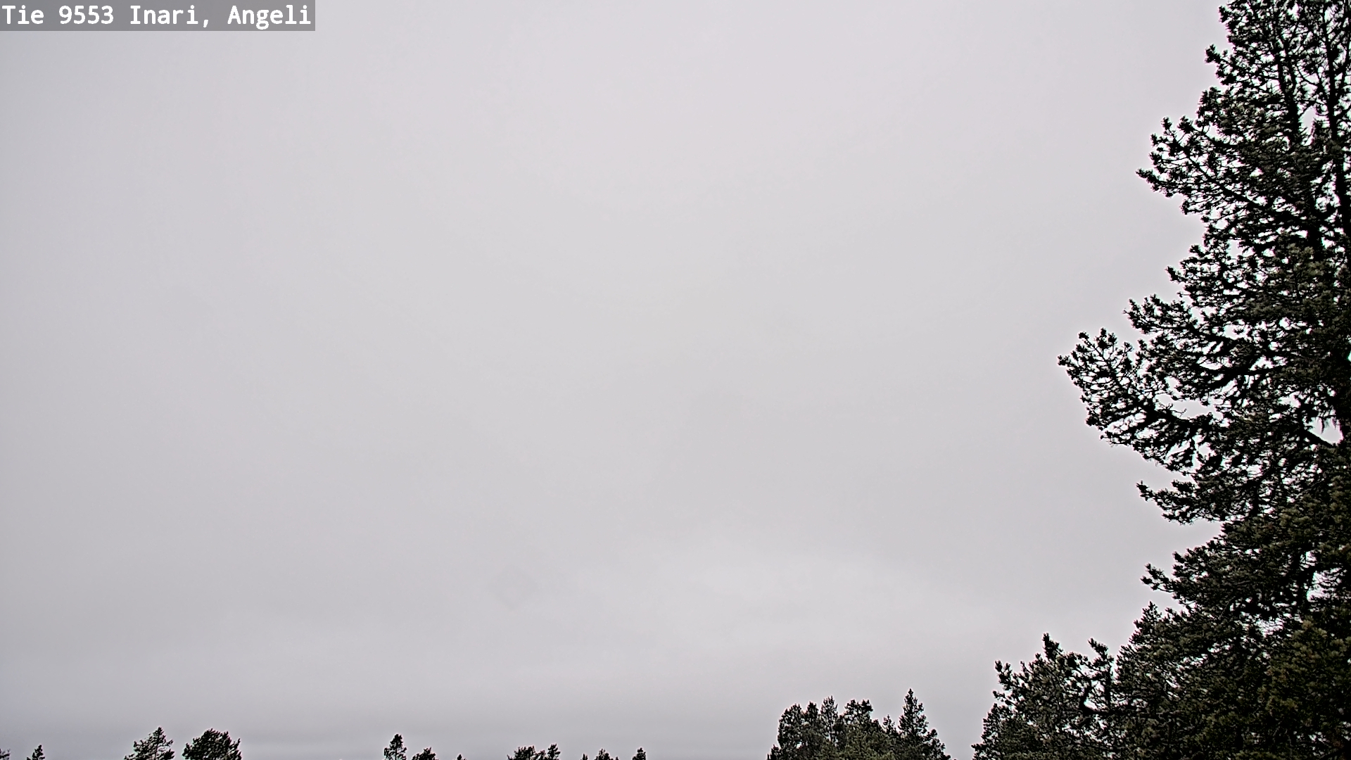 Weather Camera Image Road 9553 Inari, Angeli, Lintupuolivaara, Inari, Lappi