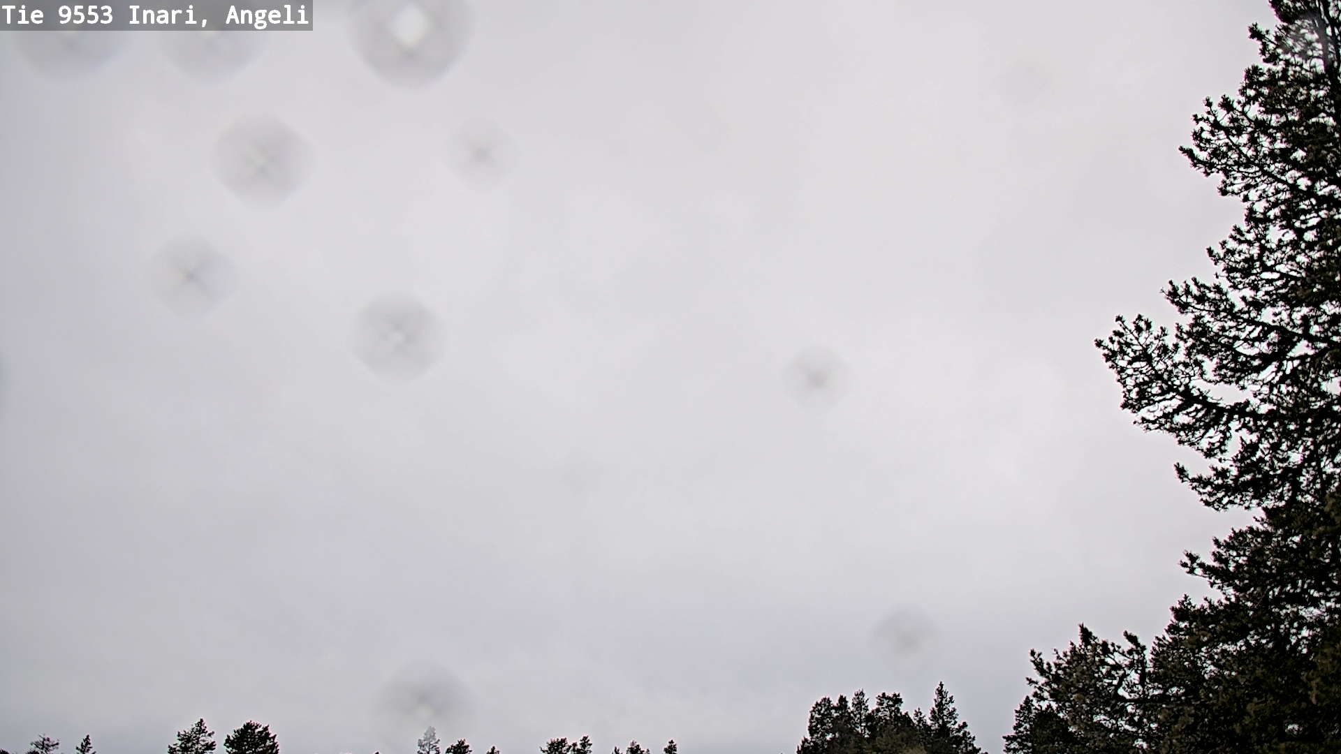 Kelikamerat Kuva Tie 9553 Inari, Angeli, Lintupuolivaara, Inari, Lappi