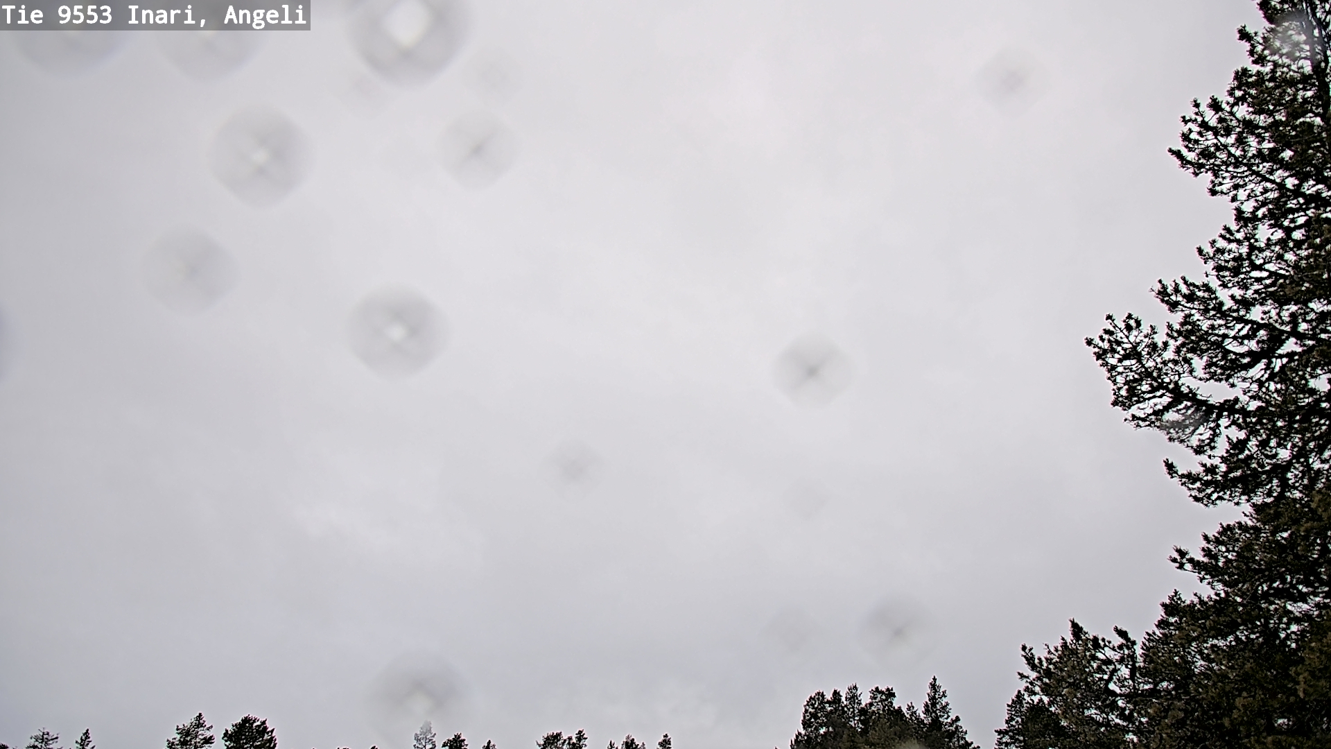 Kelikamerat Kuva Tie 9553 Inari, Angeli, Lintupuolivaara, Inari, Lappi