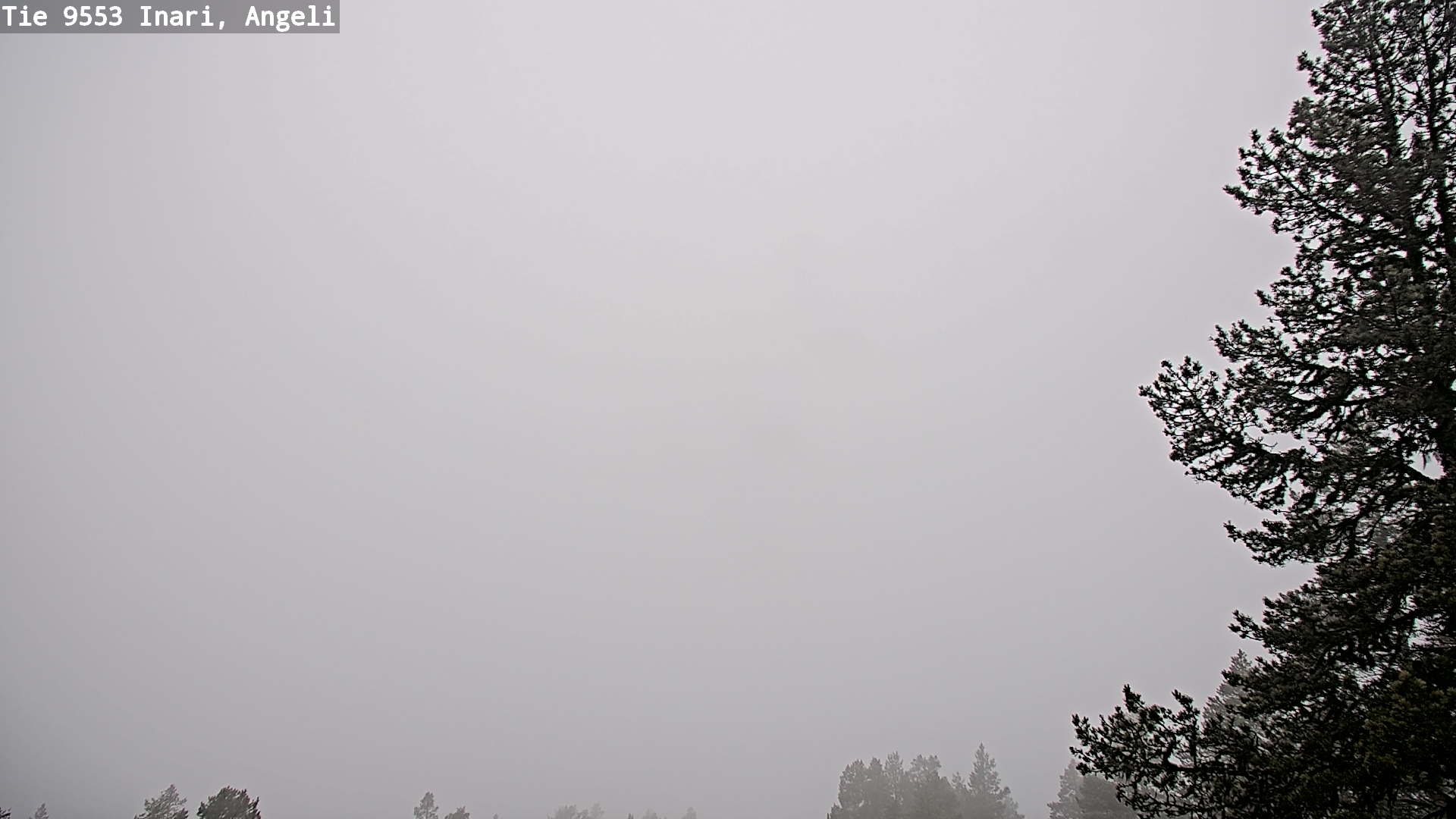 Weather Camera Image Road 9553 Inari, Angeli, Lintupuolivaara, Inari, Lappi