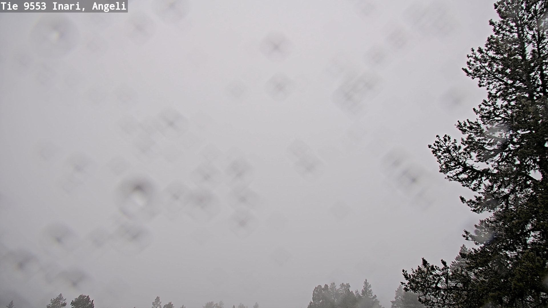 Kelikamerat Kuva Tie 9553 Inari, Angeli, Lintupuolivaara, Inari, Lappi