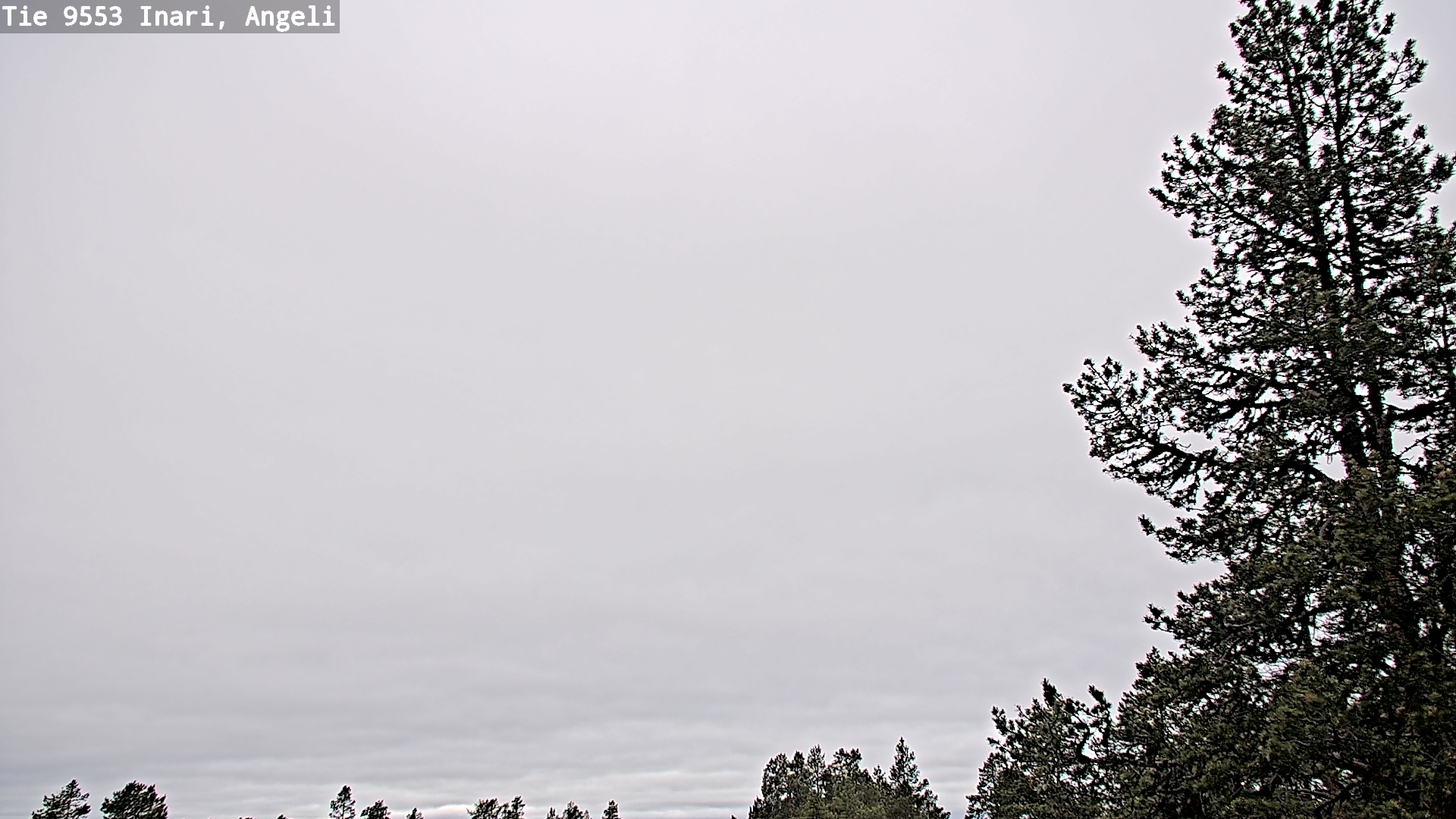 Weather Camera Image Väg 9553 Inari, Angeli, Lintupuolivaara, Inari, Lappi