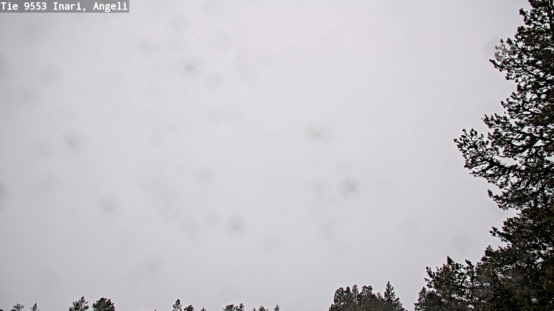 Kelikamerat Kuva Tie 9553 Inari, Angeli, Lintupuolivaara, Inari, Lappi