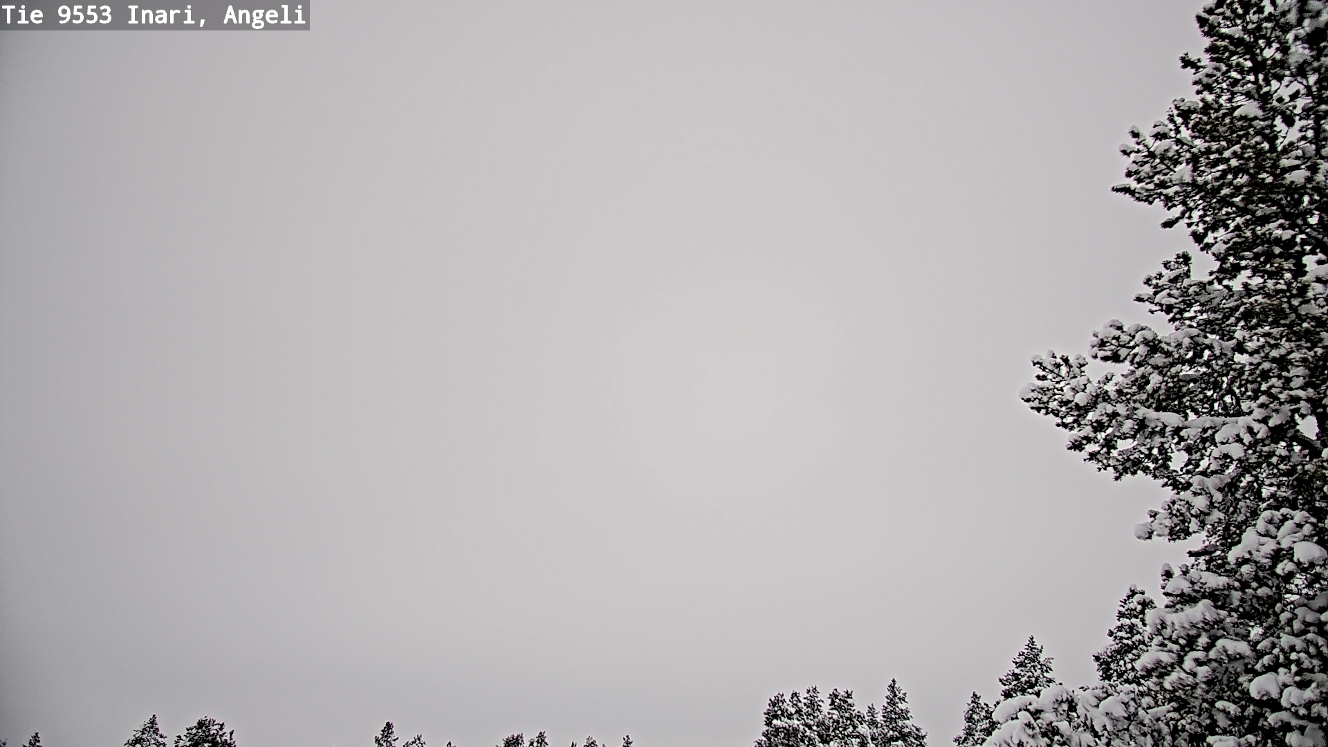 Kelikamerat Kuva Tie 9553 Inari, Angeli, Lintupuolivaara, Inari, Lappi