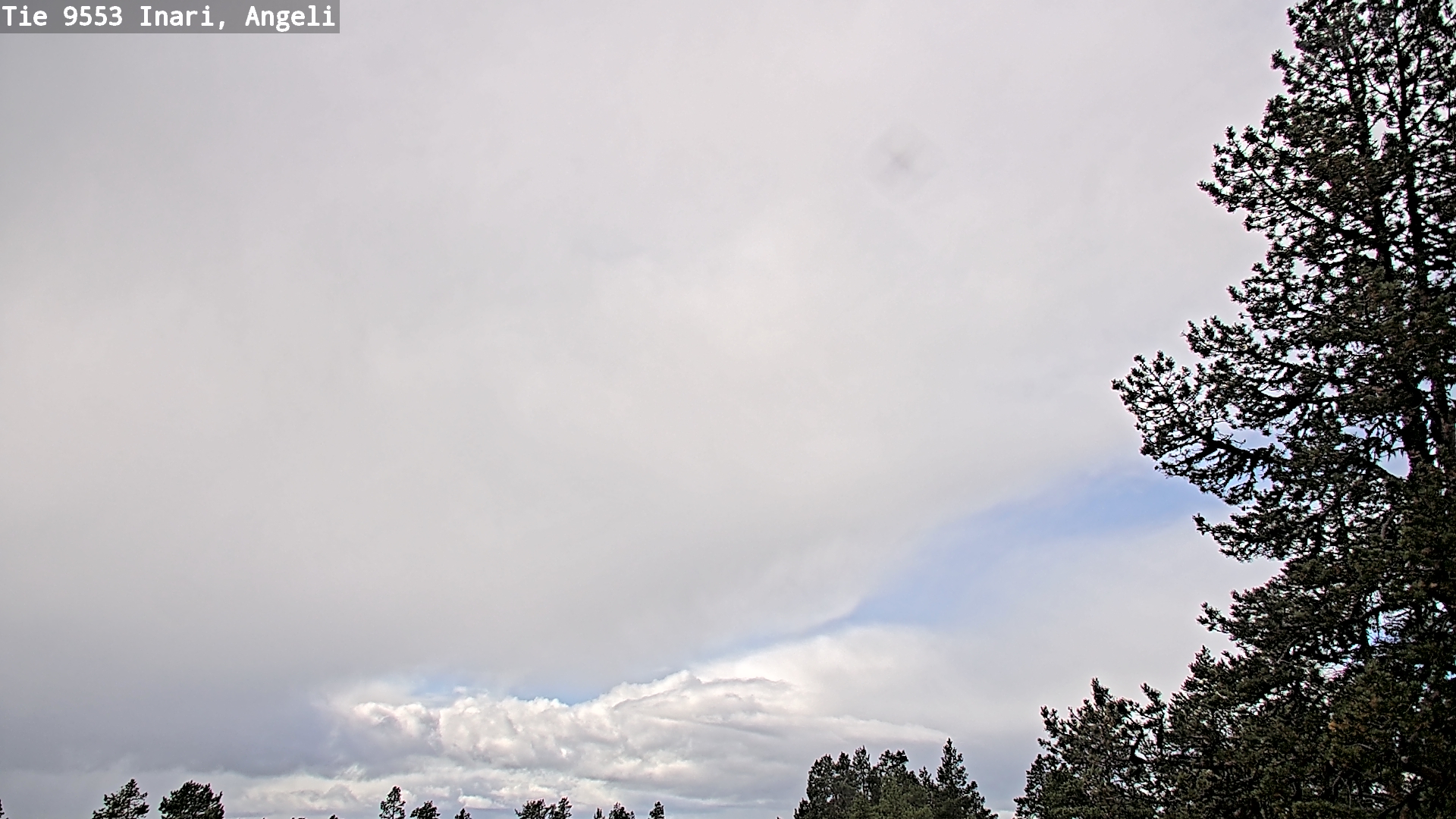 Weather Camera Image Road 9553 Inari, Angeli, Lintupuolivaara, Inari, Lappi
