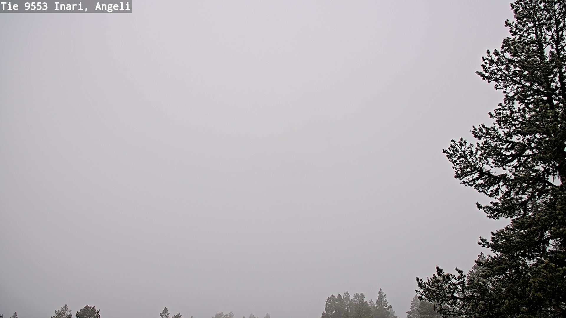 Weather Camera Image Road 9553 Inari, Angeli, Lintupuolivaara, Inari, Lappi