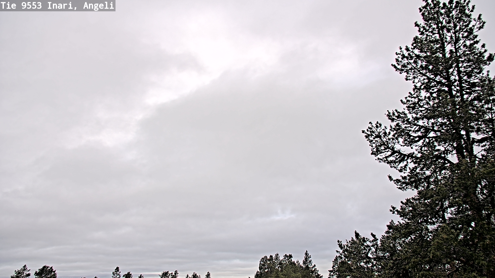 Weather Camera Image Väg 9553 Inari, Angeli, Lintupuolivaara, Inari, Lappi