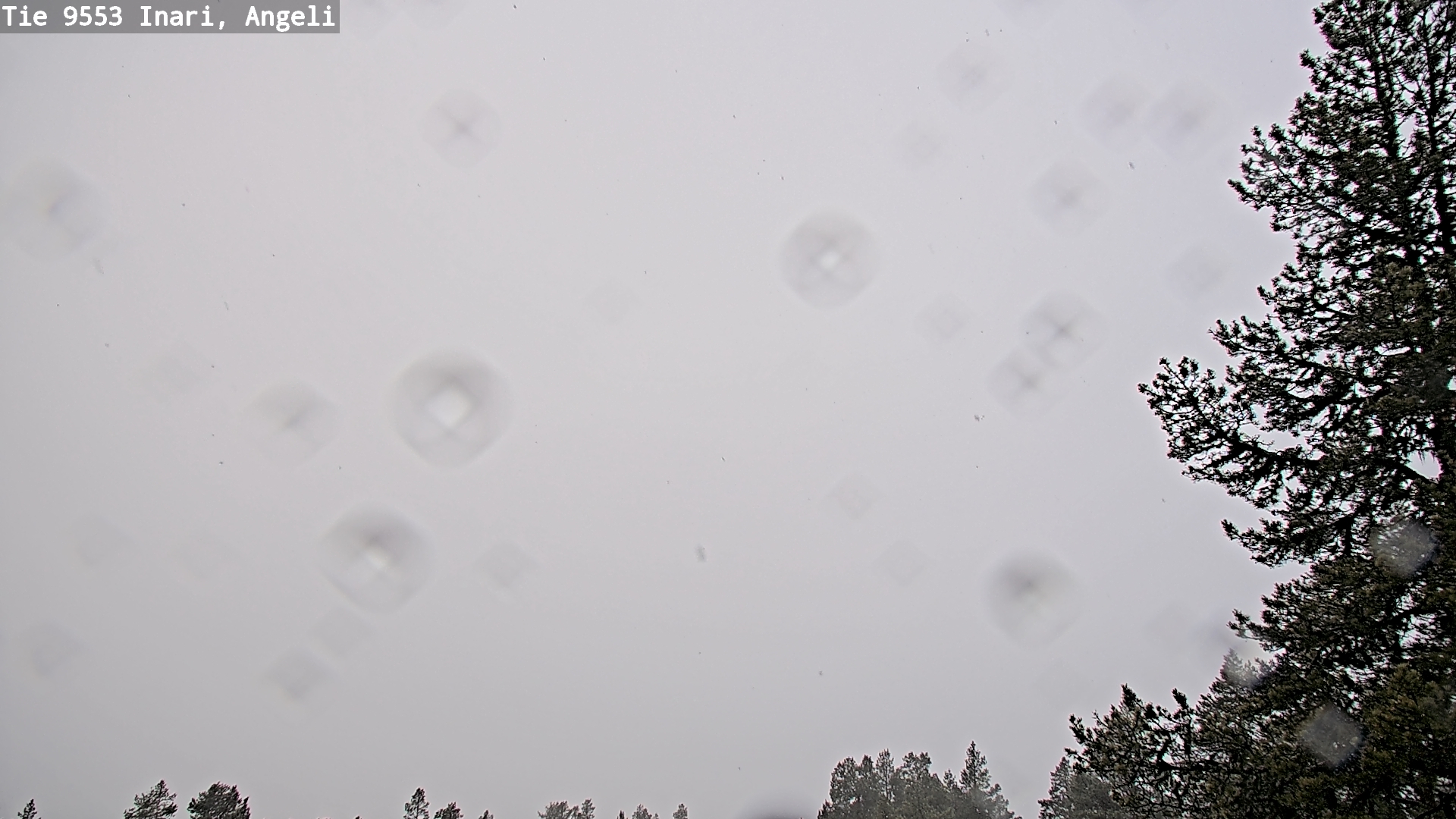 Kelikamerat Kuva Tie 9553 Inari, Angeli, Lintupuolivaara, Inari, Lappi