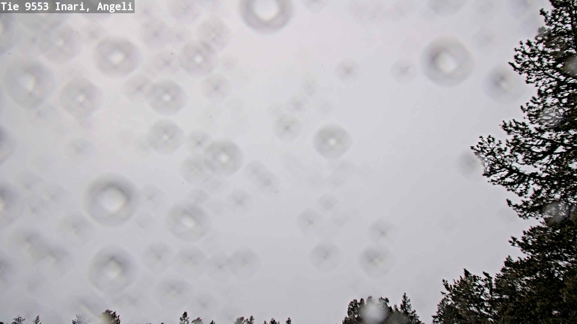 Kelikamerat Kuva Tie 9553 Inari, Angeli, Lintupuolivaara, Inari, Lappi