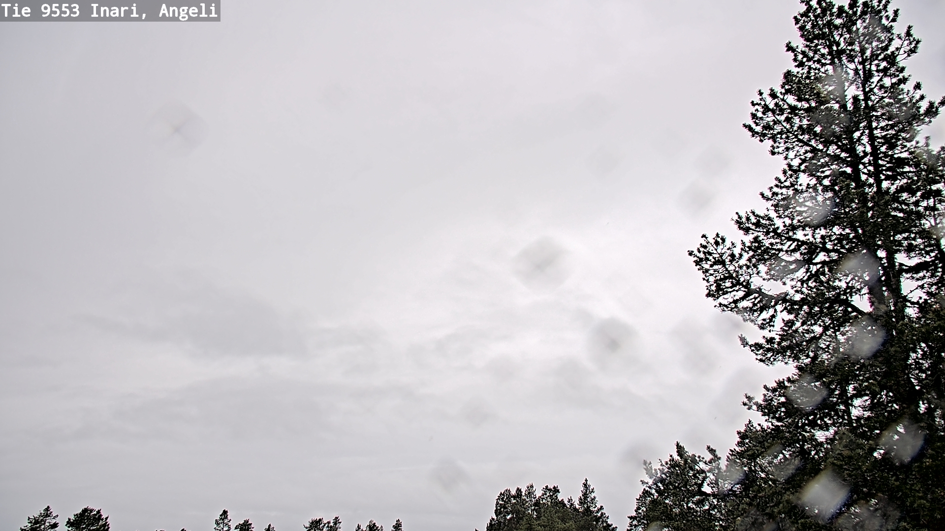 Weather Camera Image Väg 9553 Inari, Angeli, Lintupuolivaara, Inari, Lappi