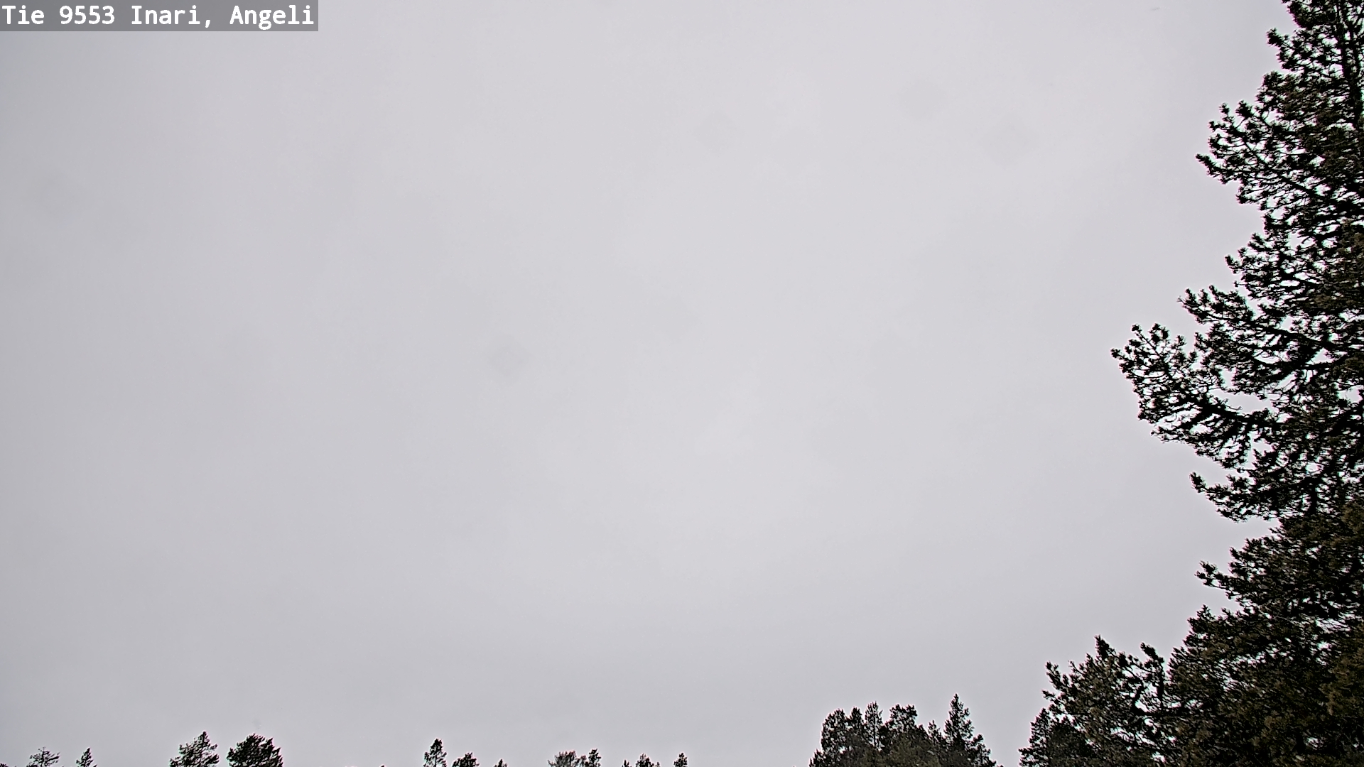 Kelikamerat Kuva Tie 9553 Inari, Angeli, Lintupuolivaara, Inari, Lappi