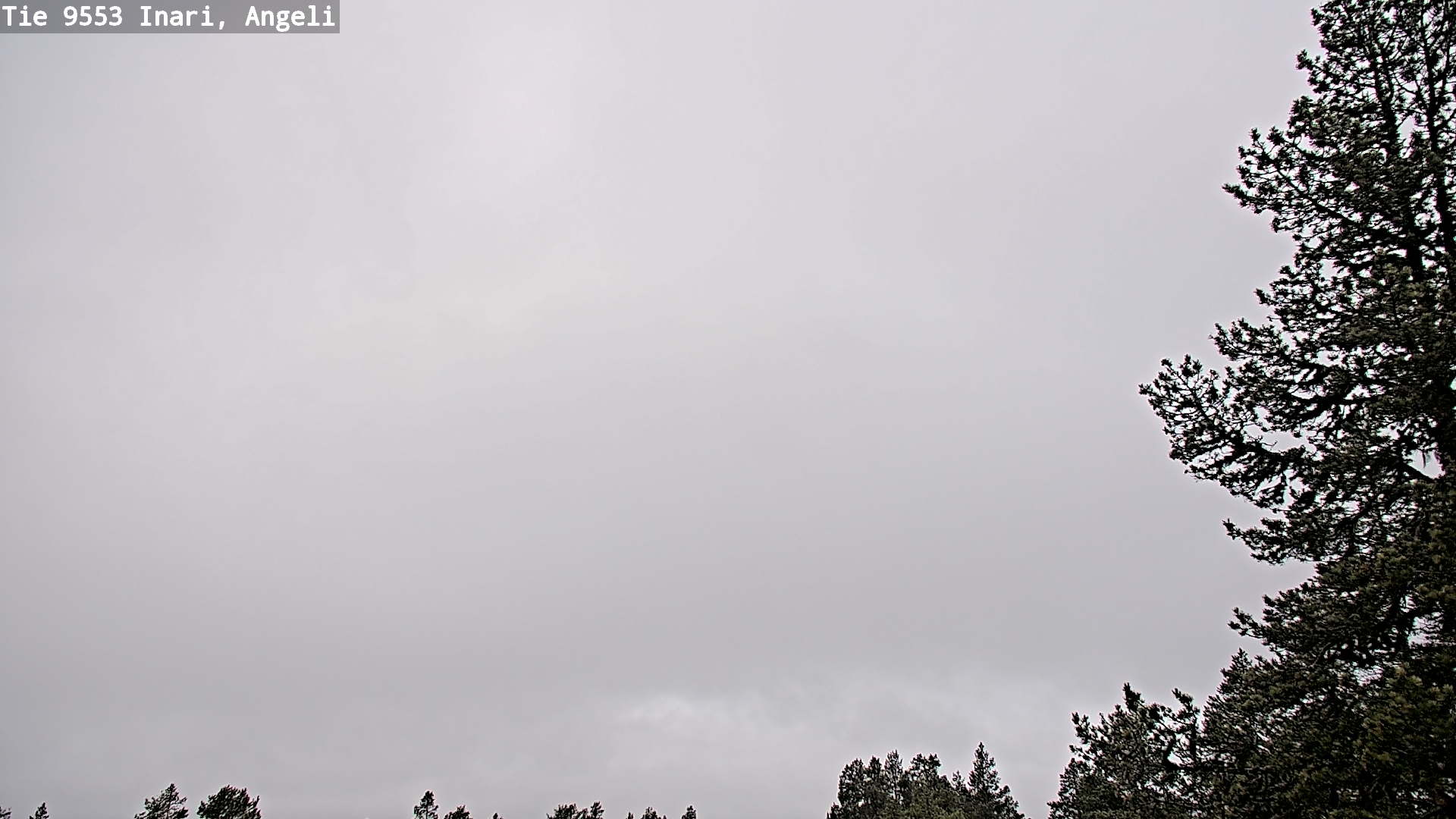 Weather Camera Image Road 9553 Inari, Angeli, Lintupuolivaara, Inari, Lappi