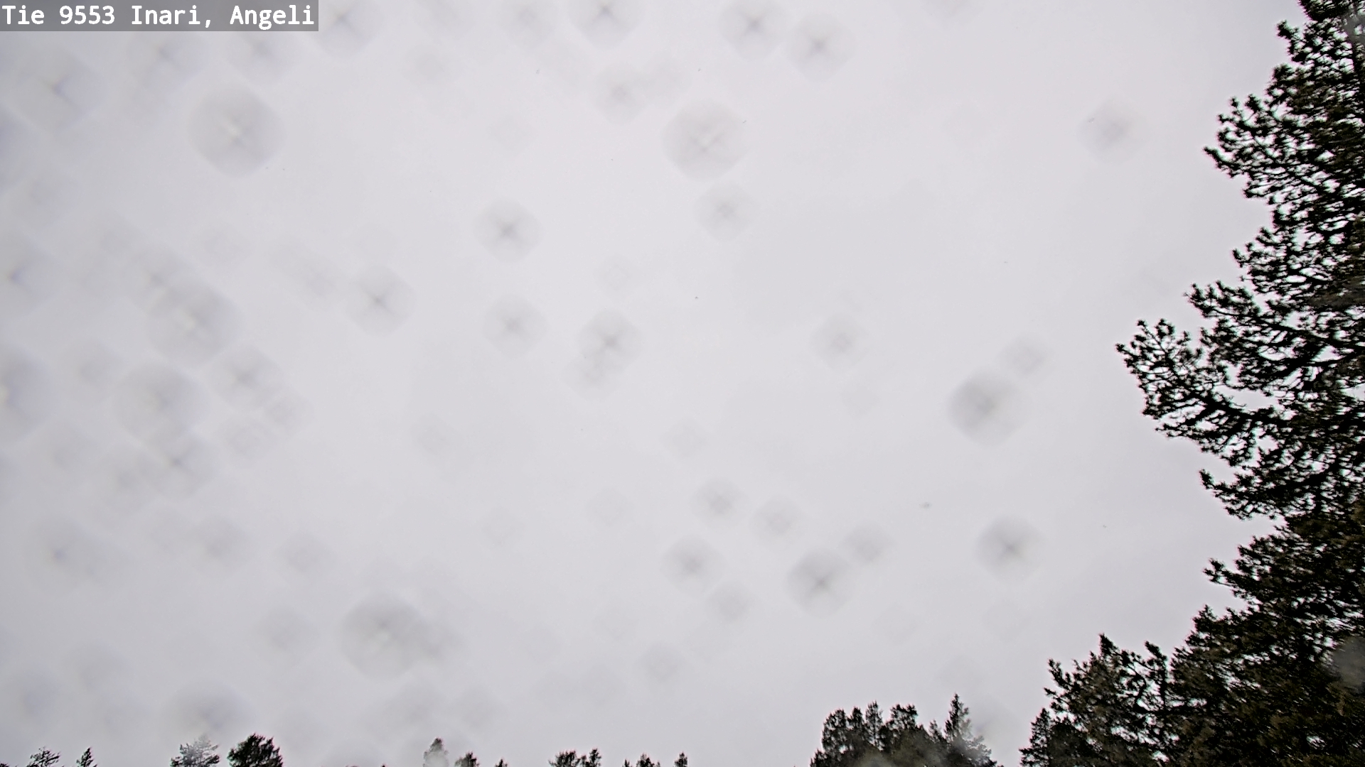 Kelikamerat Kuva Tie 9553 Inari, Angeli, Lintupuolivaara, Inari, Lappi