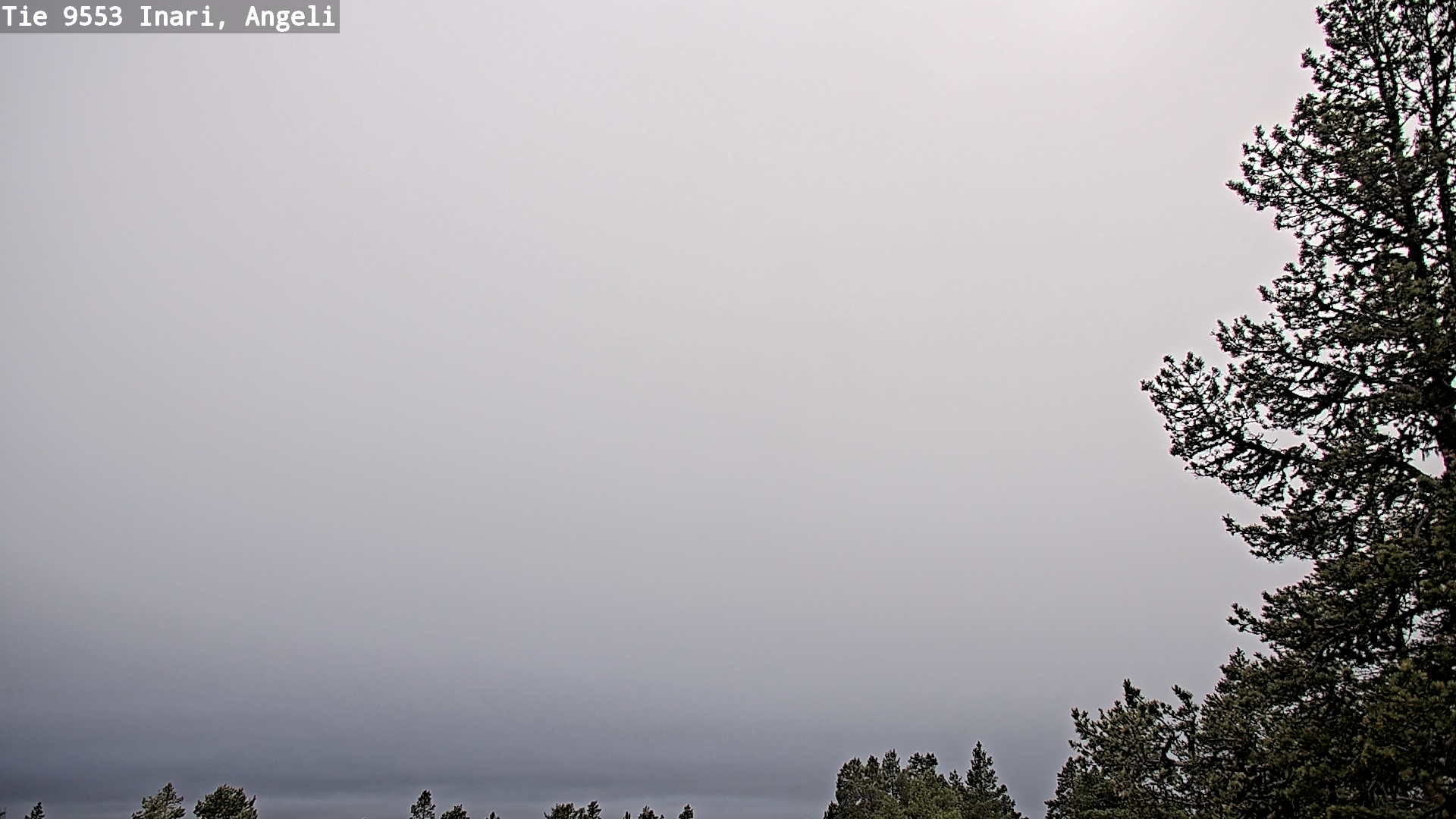 Kelikamerat Kuva Tie 9553 Inari, Angeli, Lintupuolivaara, Inari, Lappi