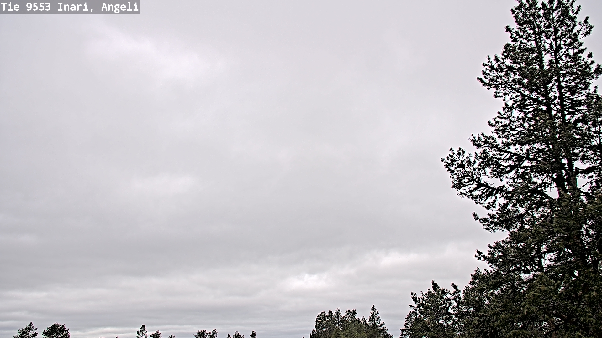 Weather Camera Image Väg 9553 Inari, Angeli, Lintupuolivaara, Inari, Lappi