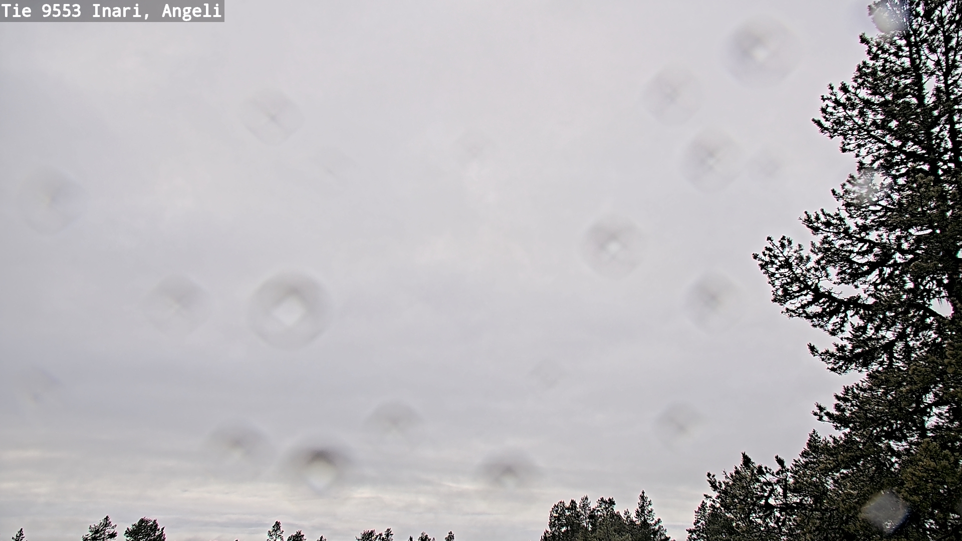 Kelikamerat Kuva Tie 9553 Inari, Angeli, Lintupuolivaara, Inari, Lappi