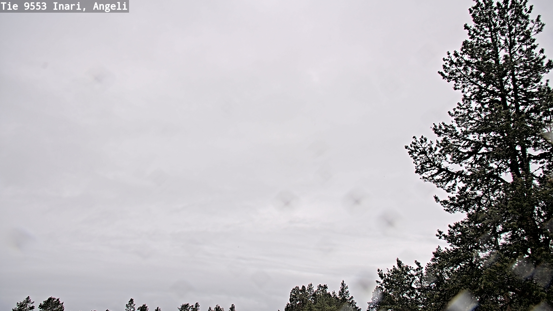 Weather Camera Image Väg 9553 Inari, Angeli, Lintupuolivaara, Inari, Lappi