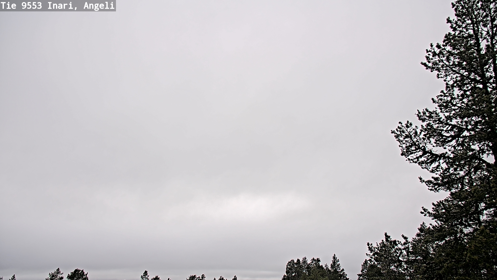 Kelikamerat Kuva Tie 9553 Inari, Angeli, Lintupuolivaara, Inari, Lappi