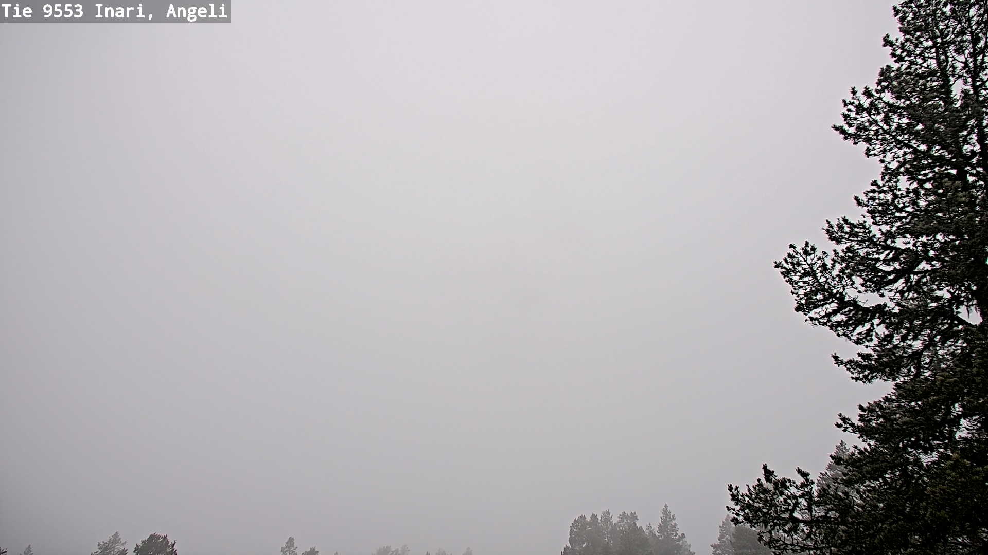 Weather Camera Image Road 9553 Inari, Angeli, Lintupuolivaara, Inari, Lappi