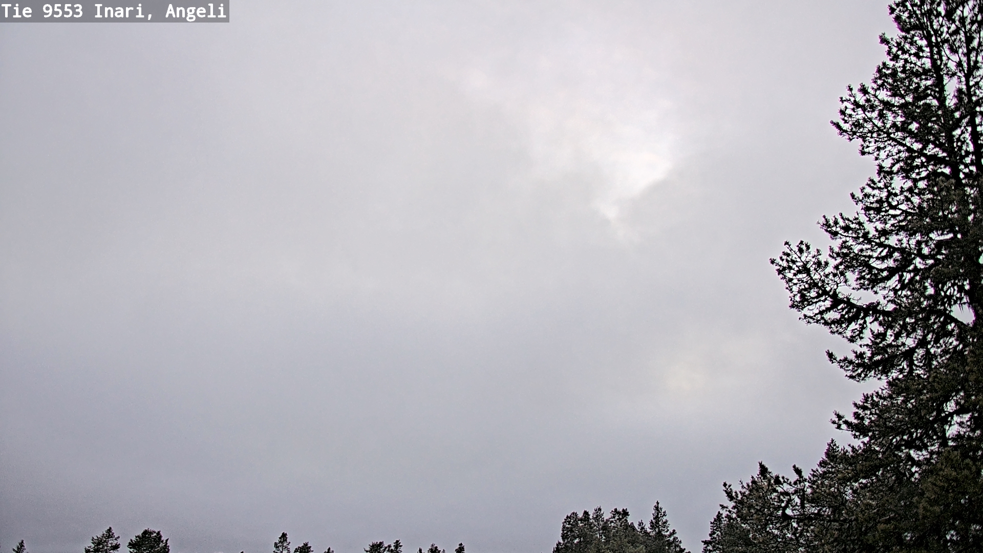 Kelikamerat Kuva Tie 9553 Inari, Angeli, Lintupuolivaara, Inari, Lappi