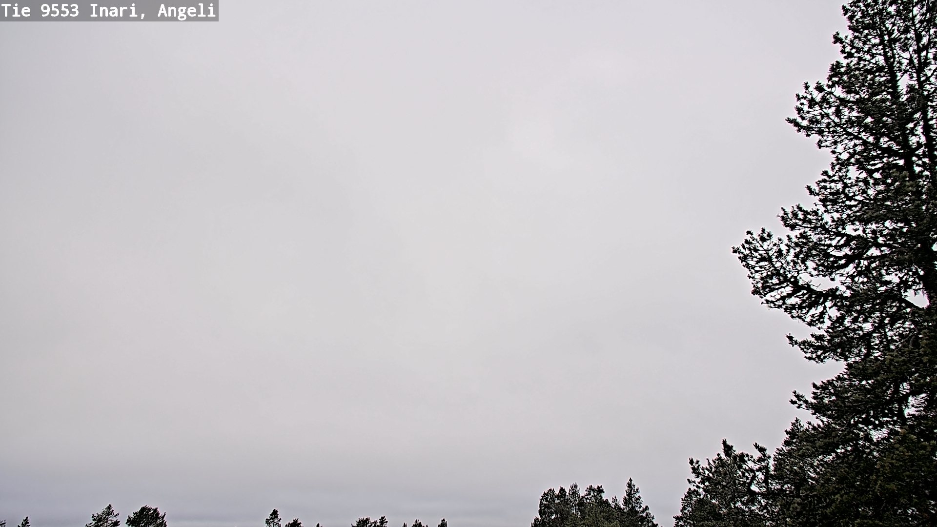 Weather Camera Image Road 9553 Inari, Angeli, Lintupuolivaara, Inari, Lappi