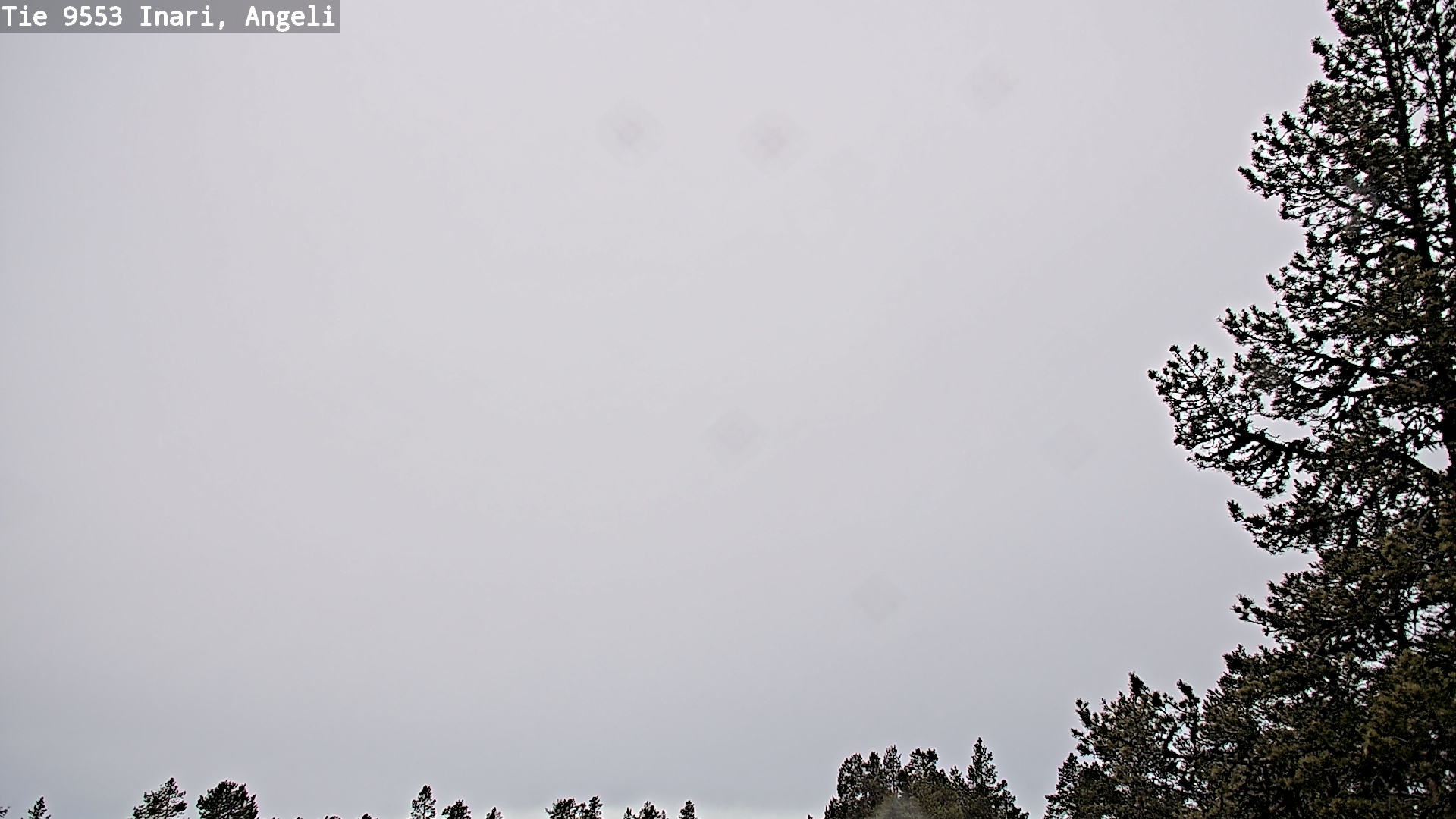 Kelikamerat Kuva Tie 9553 Inari, Angeli, Lintupuolivaara, Inari, Lappi