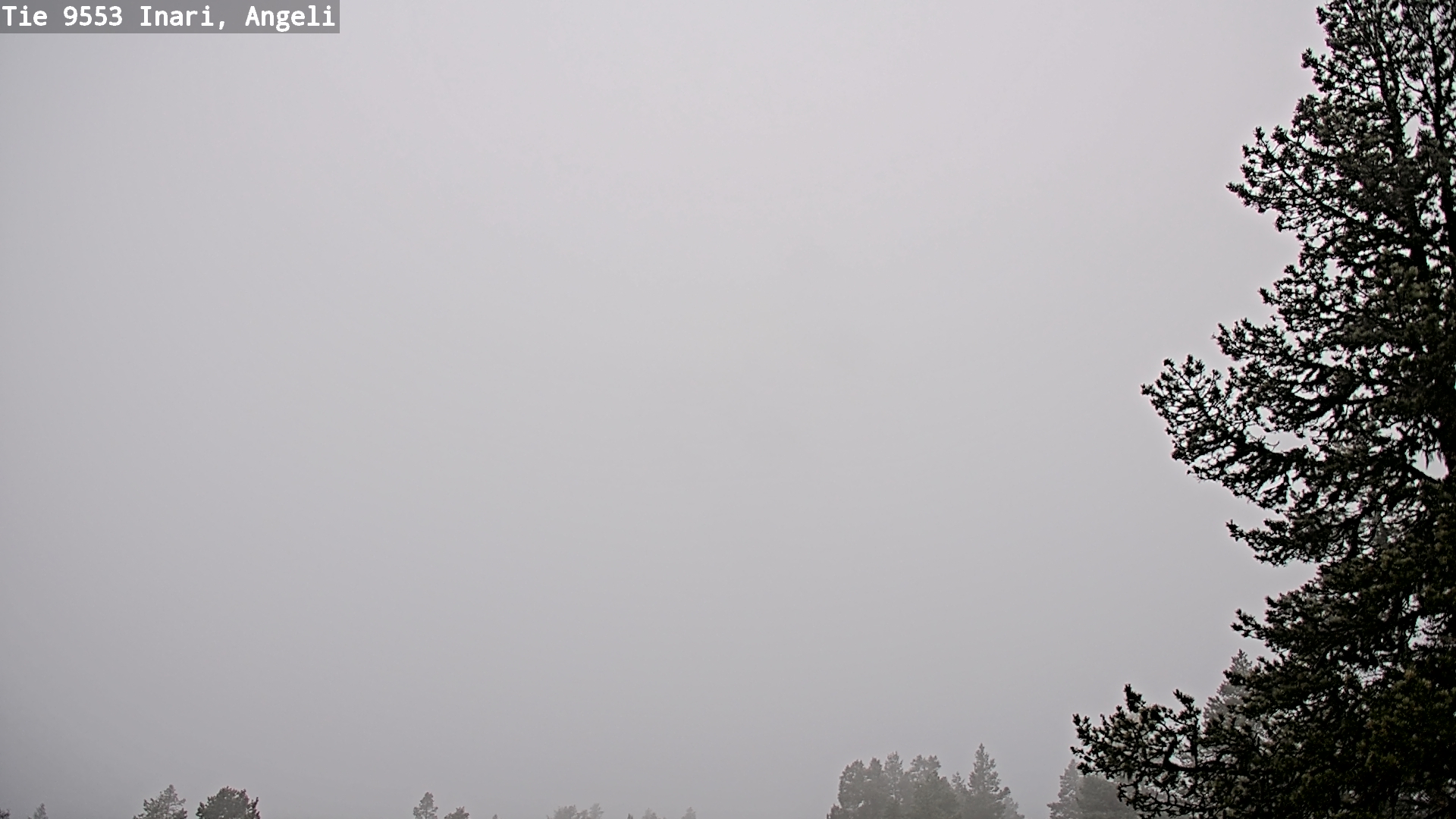 Weather Camera Image Road 9553 Inari, Angeli, Lintupuolivaara, Inari, Lappi