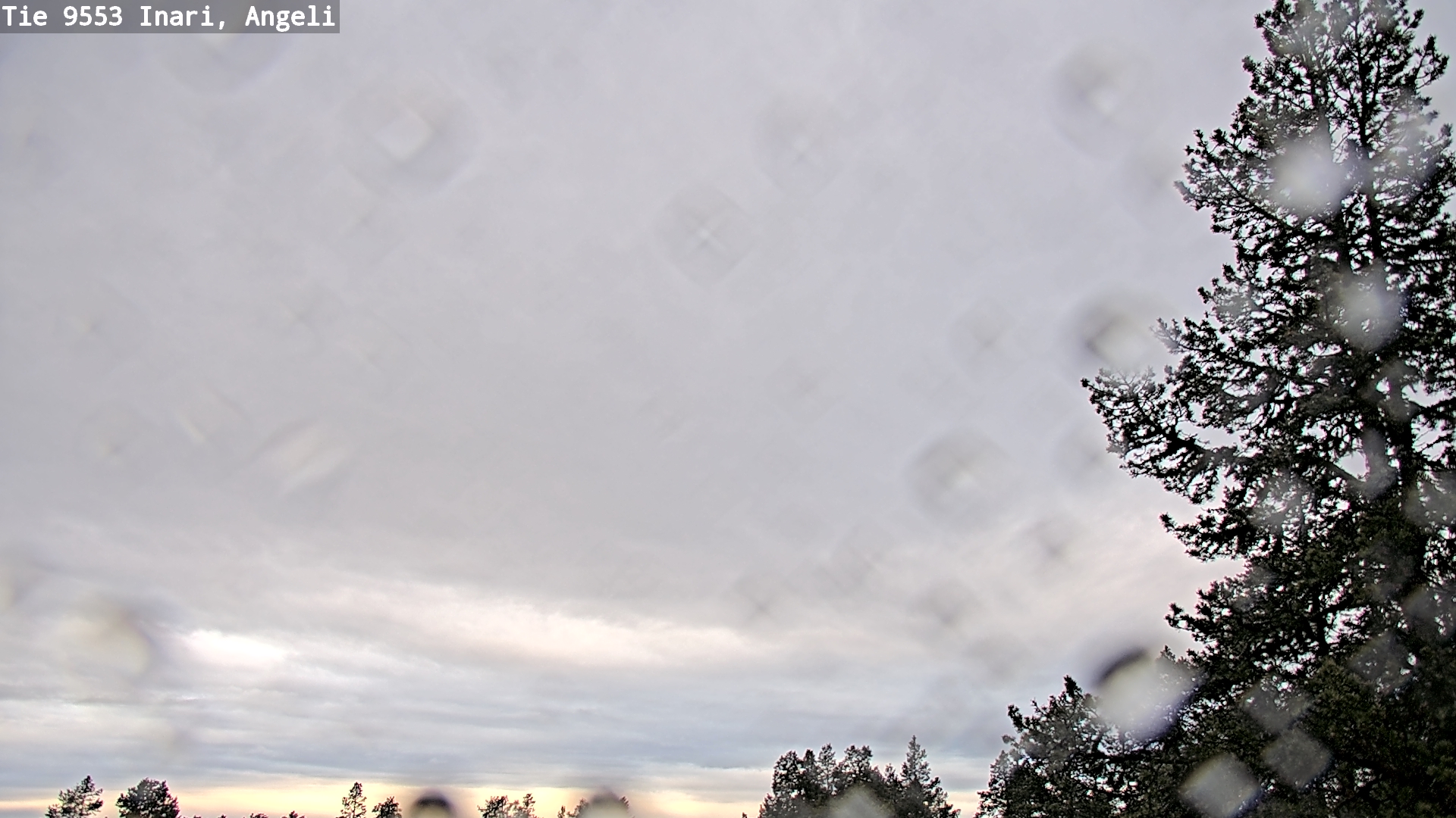 Weather Camera Image Road 9553 Inari, Angeli, Lintupuolivaara, Inari, Lappi