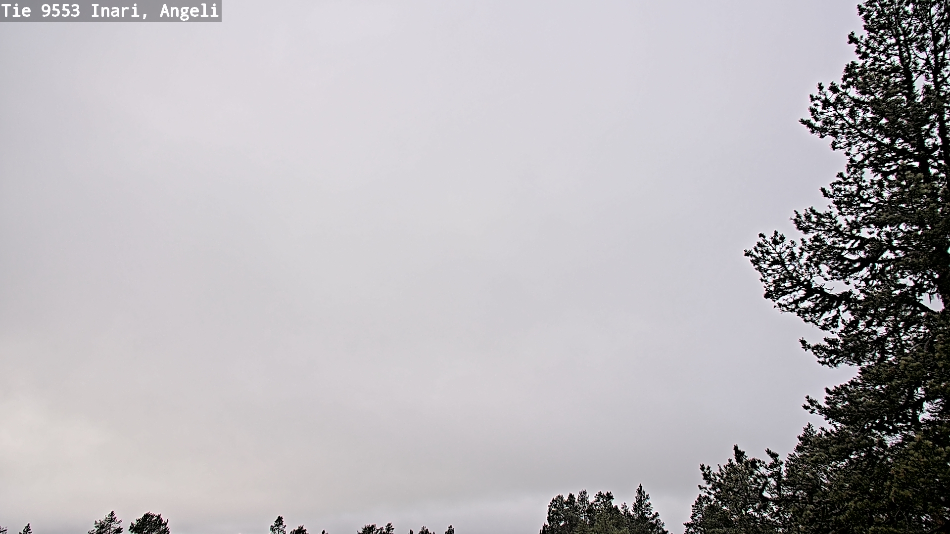 Weather Camera Image Road 9553 Inari, Angeli, Lintupuolivaara, Inari, Lappi